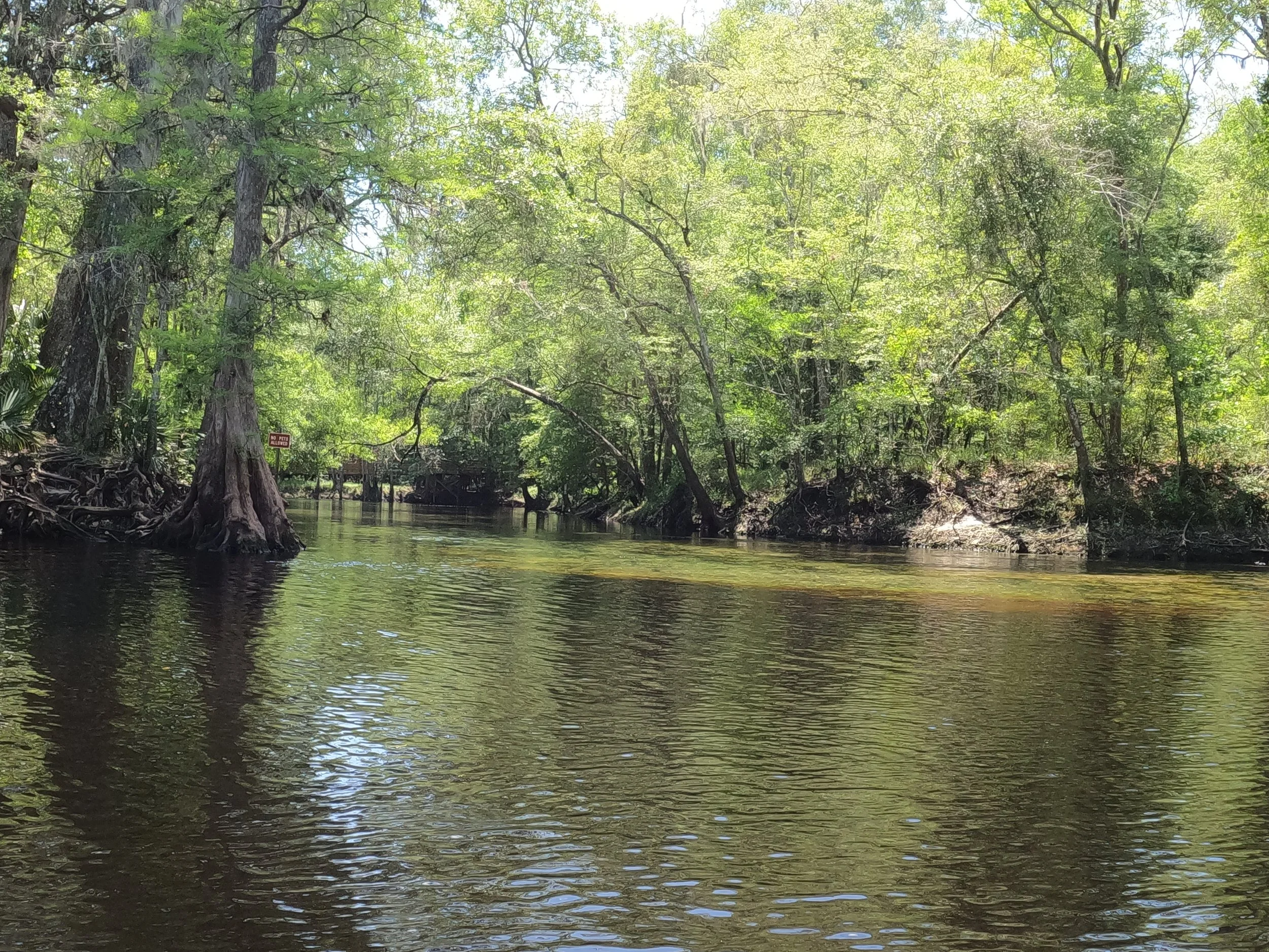 Poe Springs Trip (Entrance to Poe)