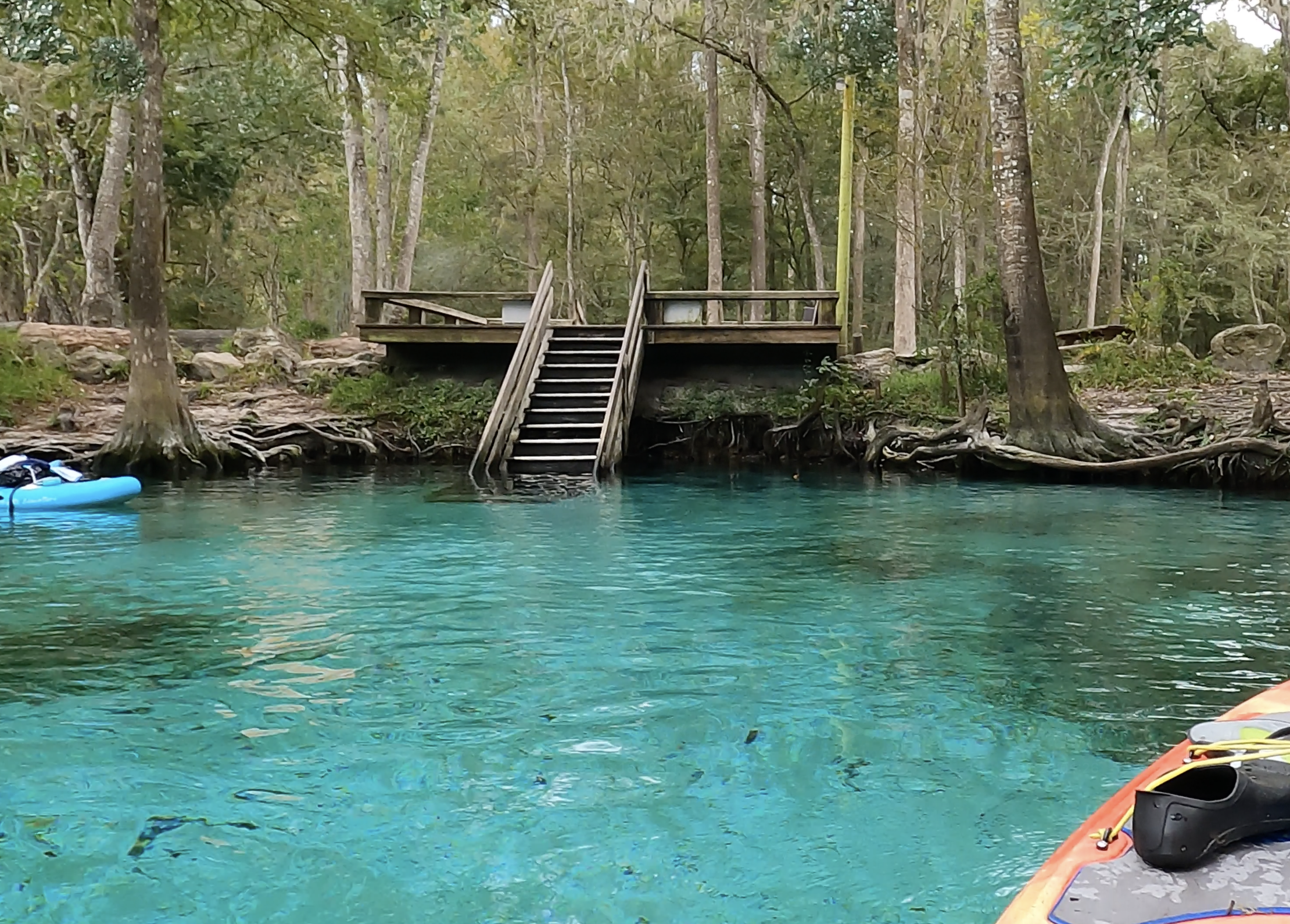 Freshwater spring with a calm blue color from the angle that one would be sitting on a kayak. A paddle board is just out of frame on the left and a set of wooden stairs leads from the water to an overlook dock that is surrounded by green trees.