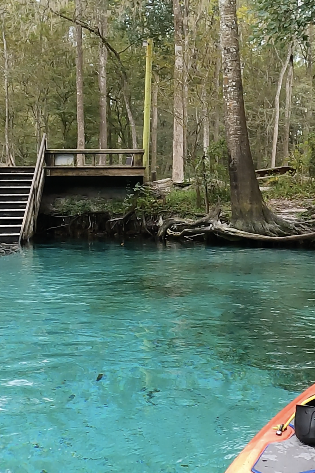 Ginnie Springs Paddle
