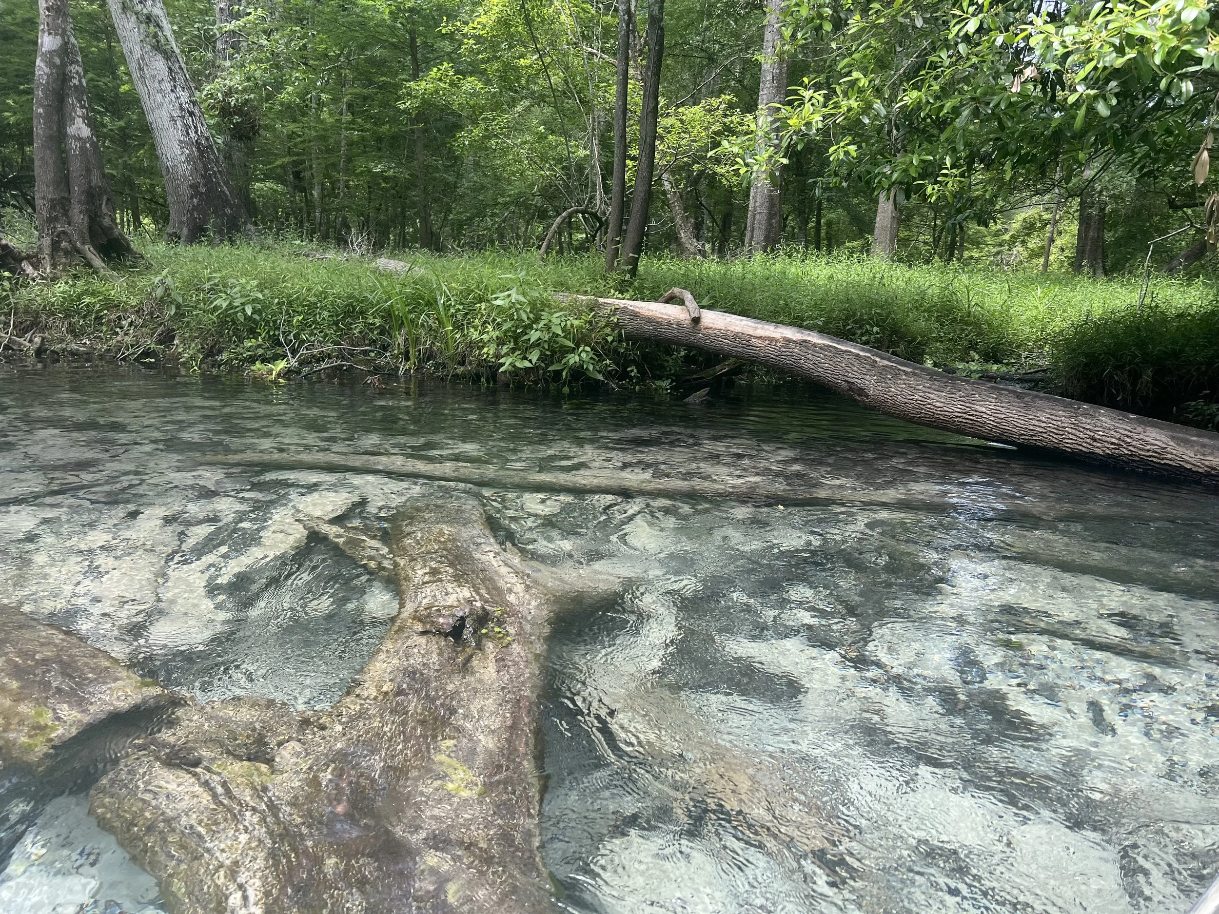 Crystal clear spring run