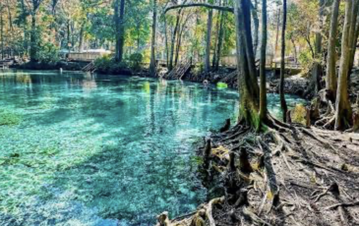 GINNIE SPRINGS Paddle