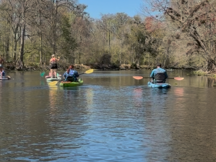 Two kayakers and two paddle boarders are paddling on the Santa Fe River in very early spring