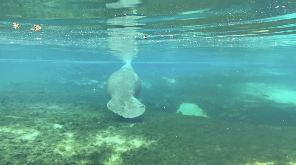 Rum Island Trip — Anderson's Outdoor Adventures