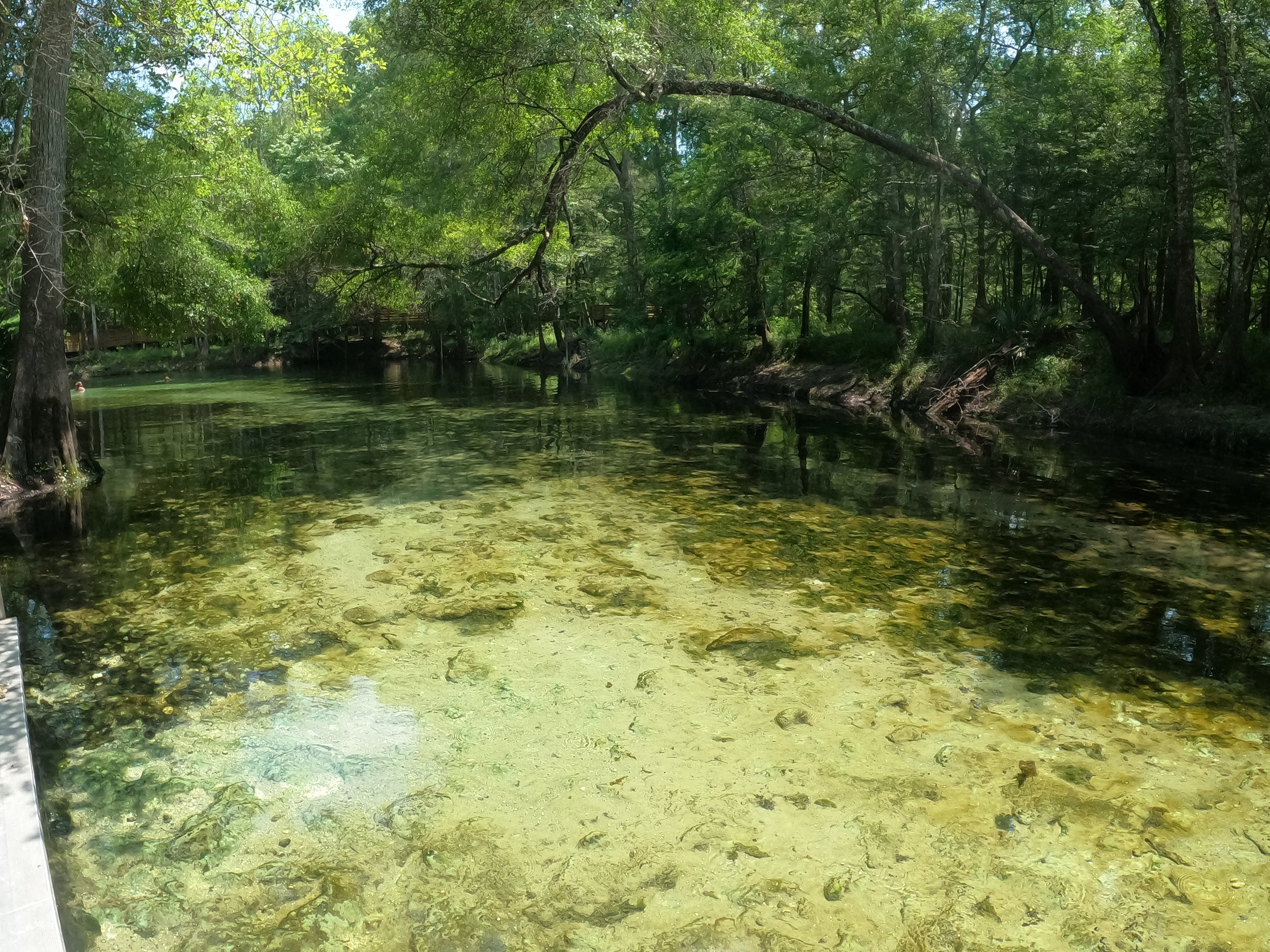 Poe Springs Trip (Poe Spring Run)