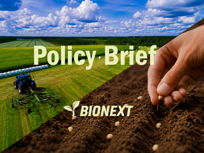 News | Discover our latest policy briefs