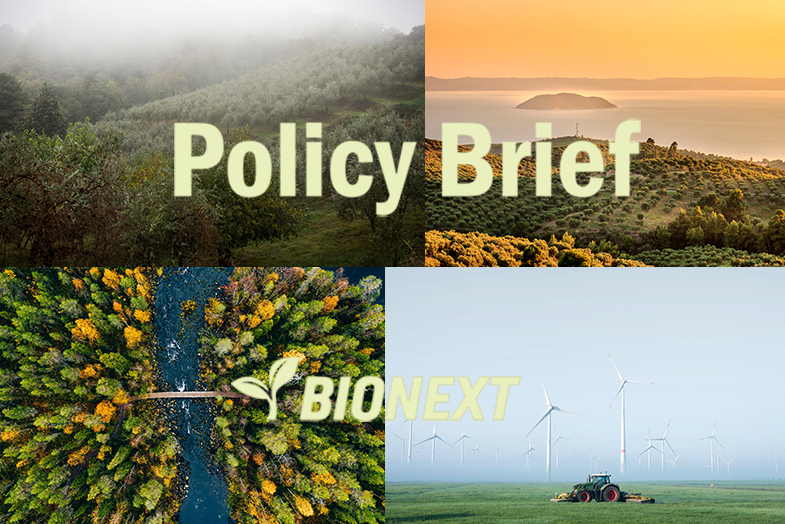 News | Discover our latest policy briefs