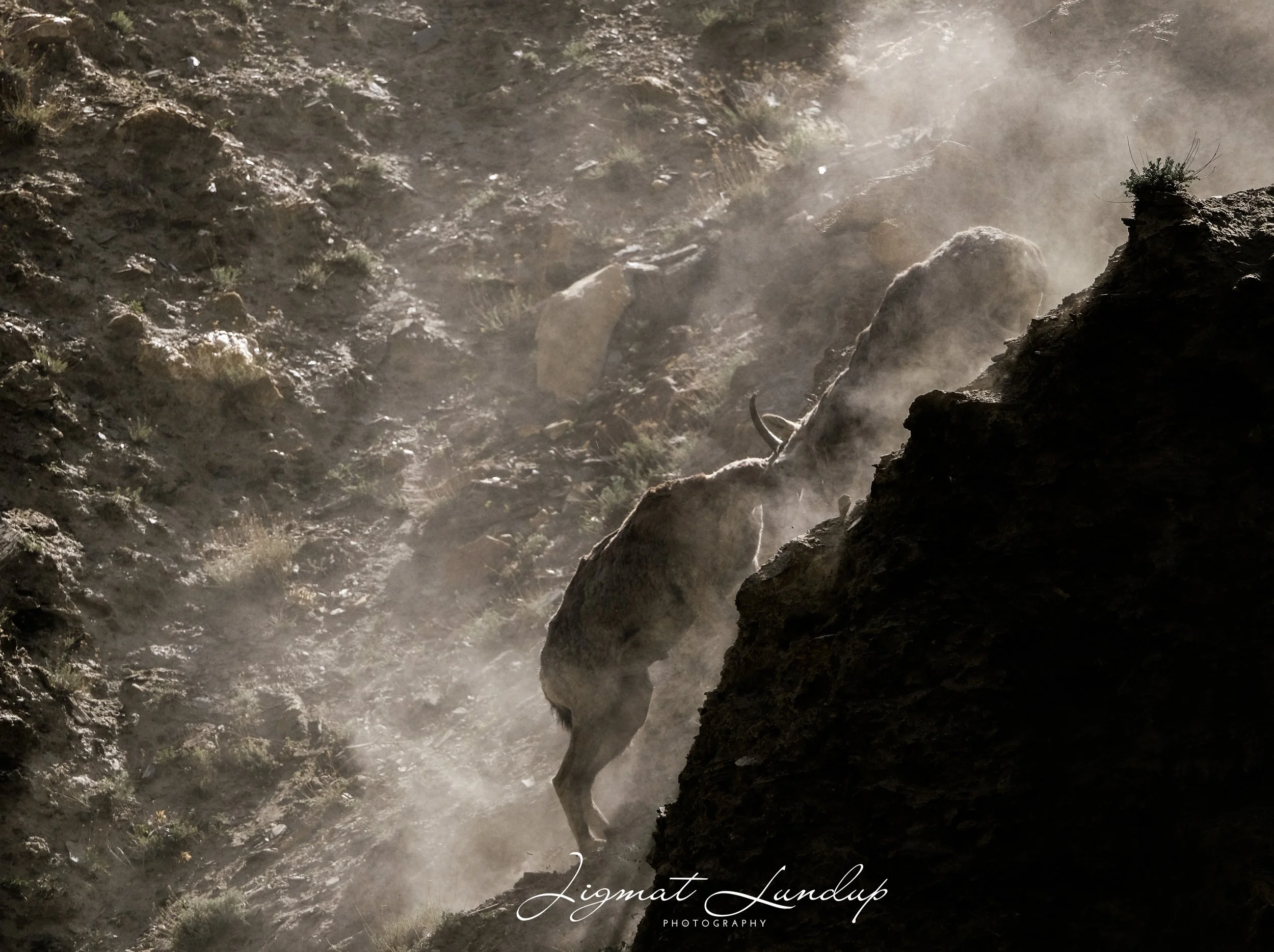 untitled (1 of 1)-78.jpg