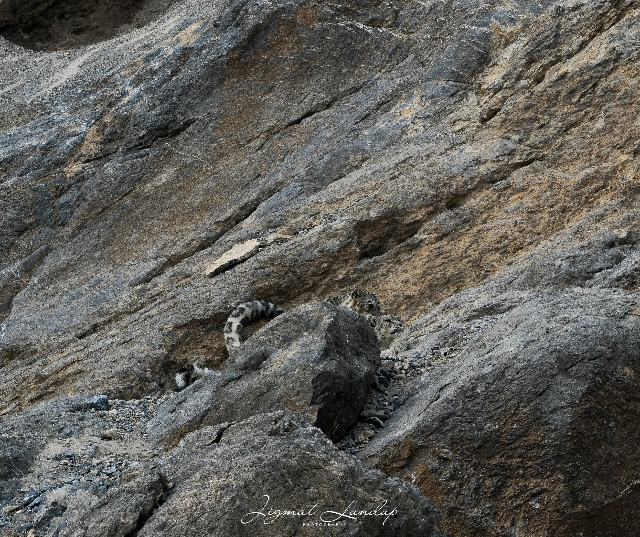 untitled (1 of 1)-198.jpg