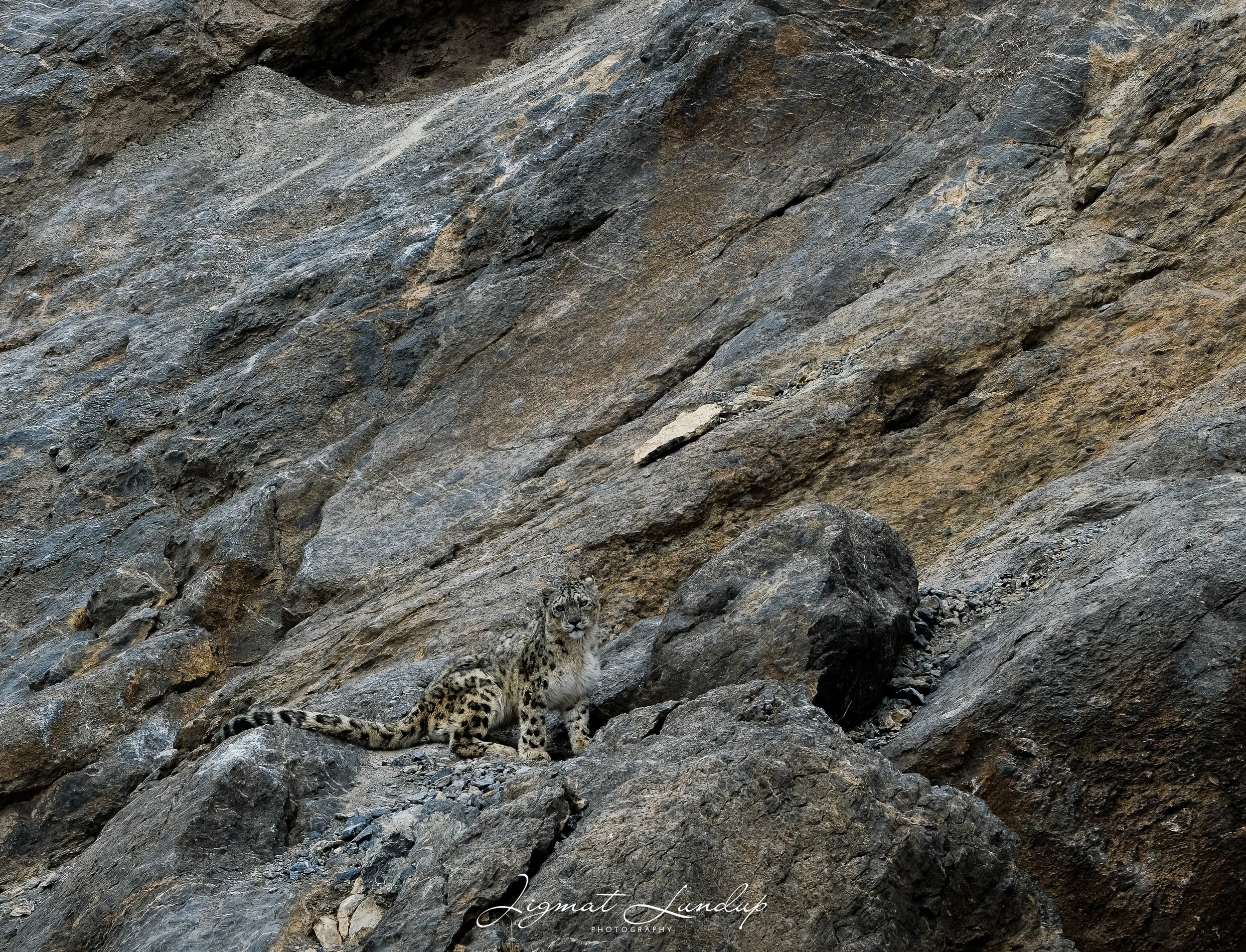 untitled (1 of 1)-197.jpg