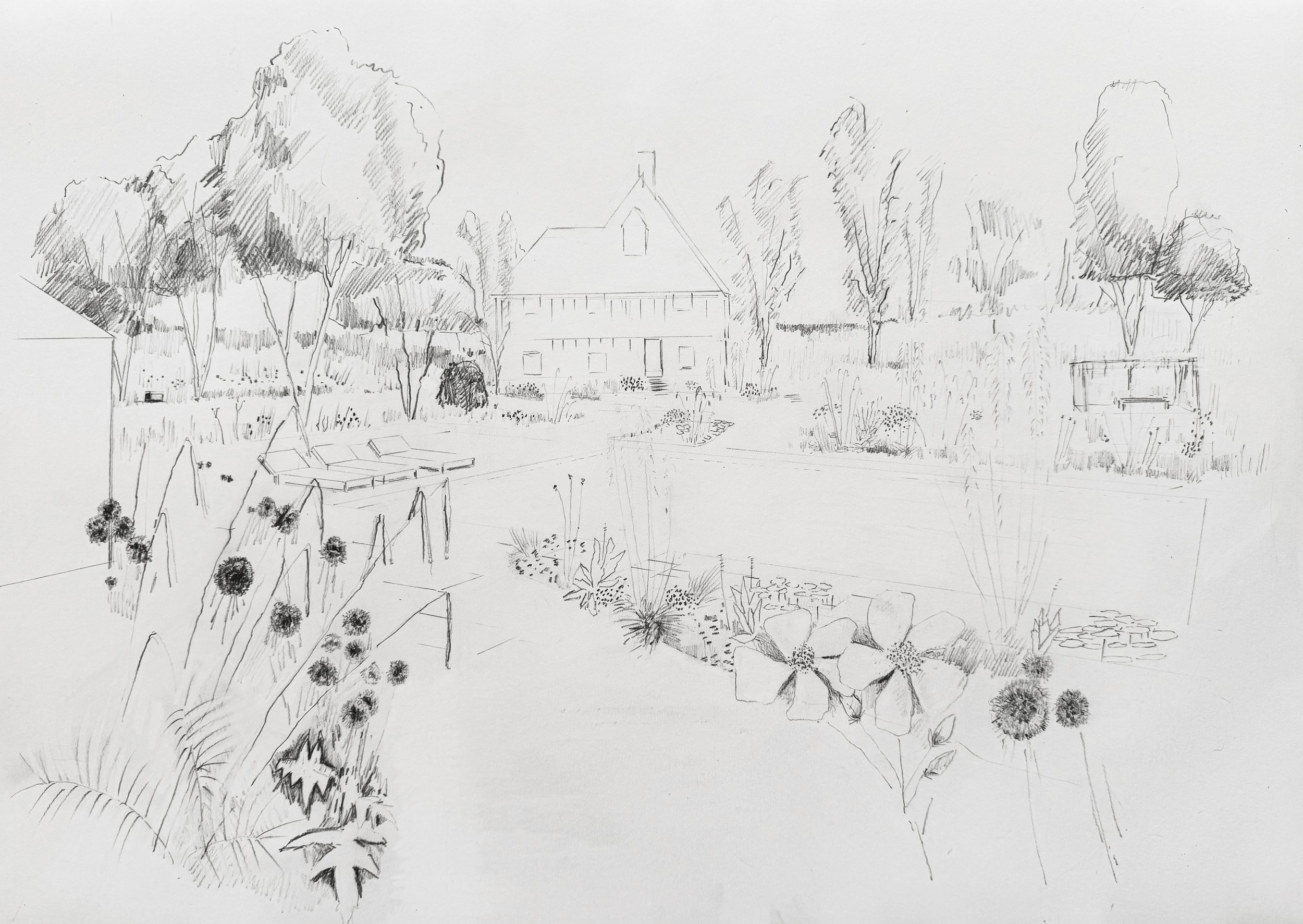 A detailed pencil sketch of a backyard scene featuring trees, a house, and garden elements, including a swing and a pathway.