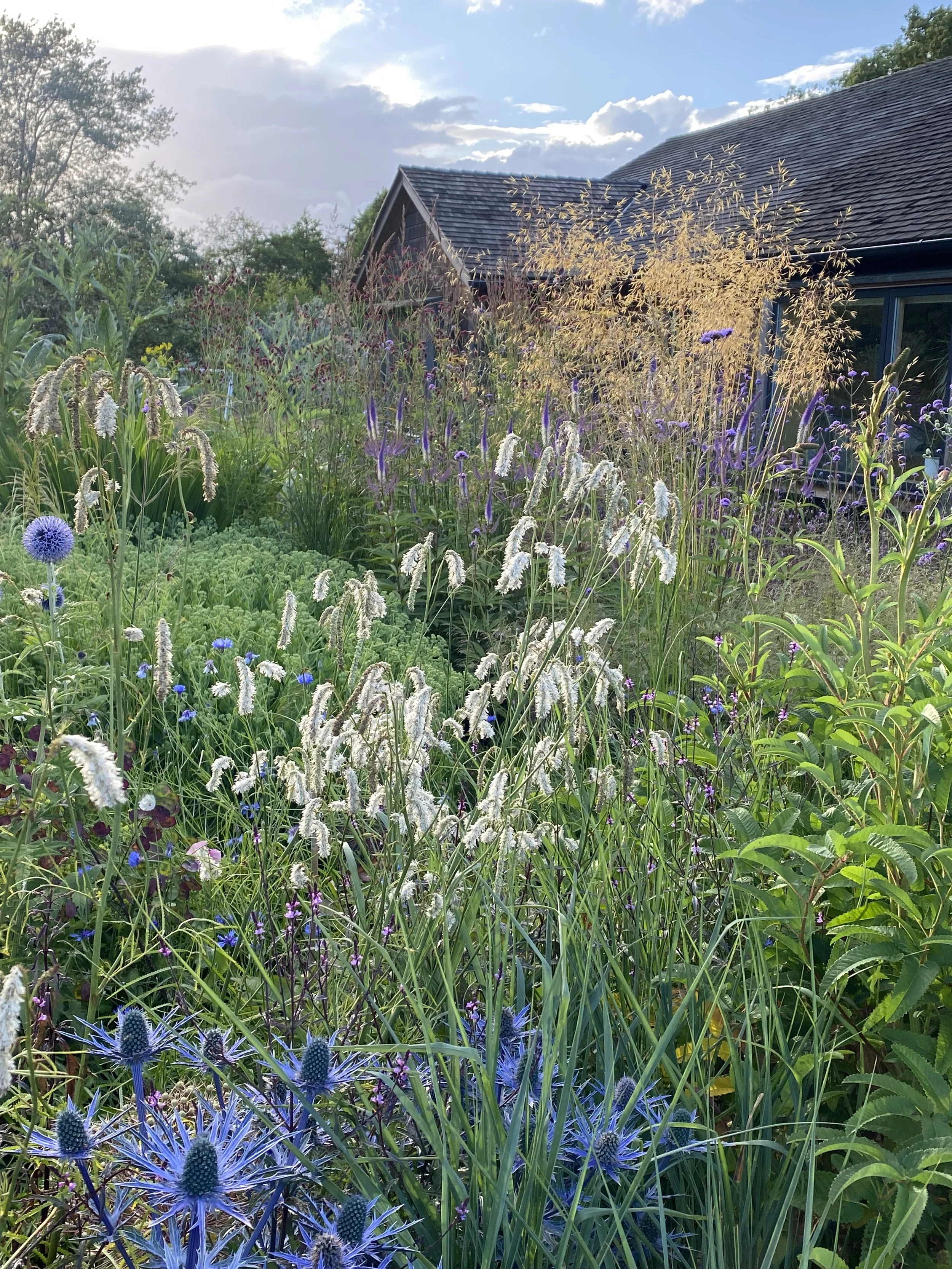 A lush garden with various colorful flowers and plants in front of a house with large windows and a dark roof, under a partly cloudy sky.