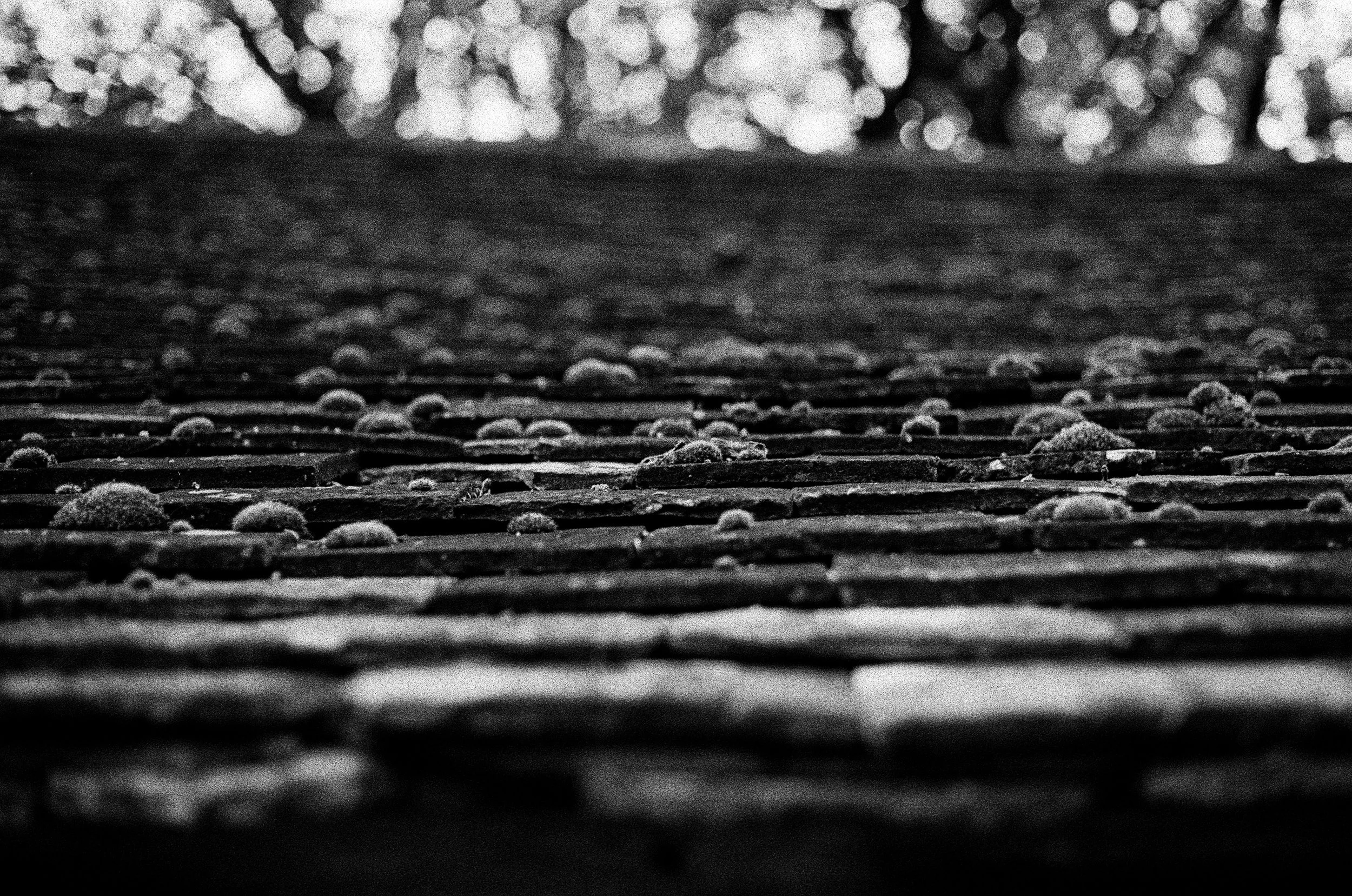 Close-up black-and-white photo of a textured surface, possibly a metallic or rubber mat with raised bumps or granules.