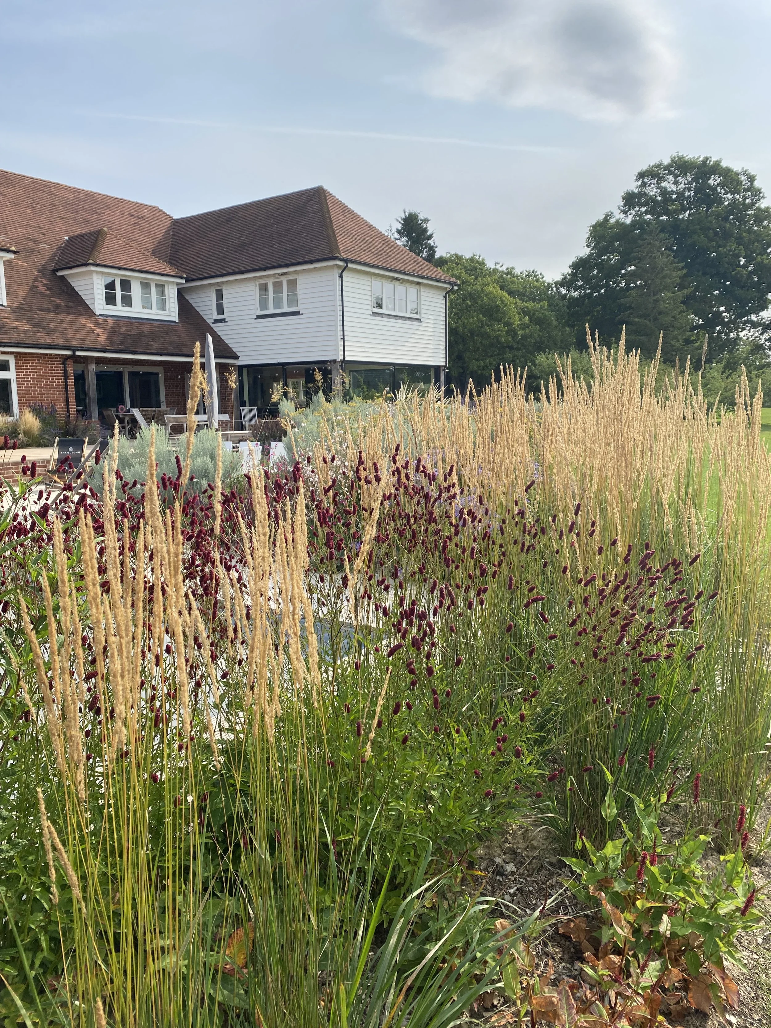 A house with white siding and a red-tiled roof, surrounded by a lush garden with tall grasses and flowering plants.