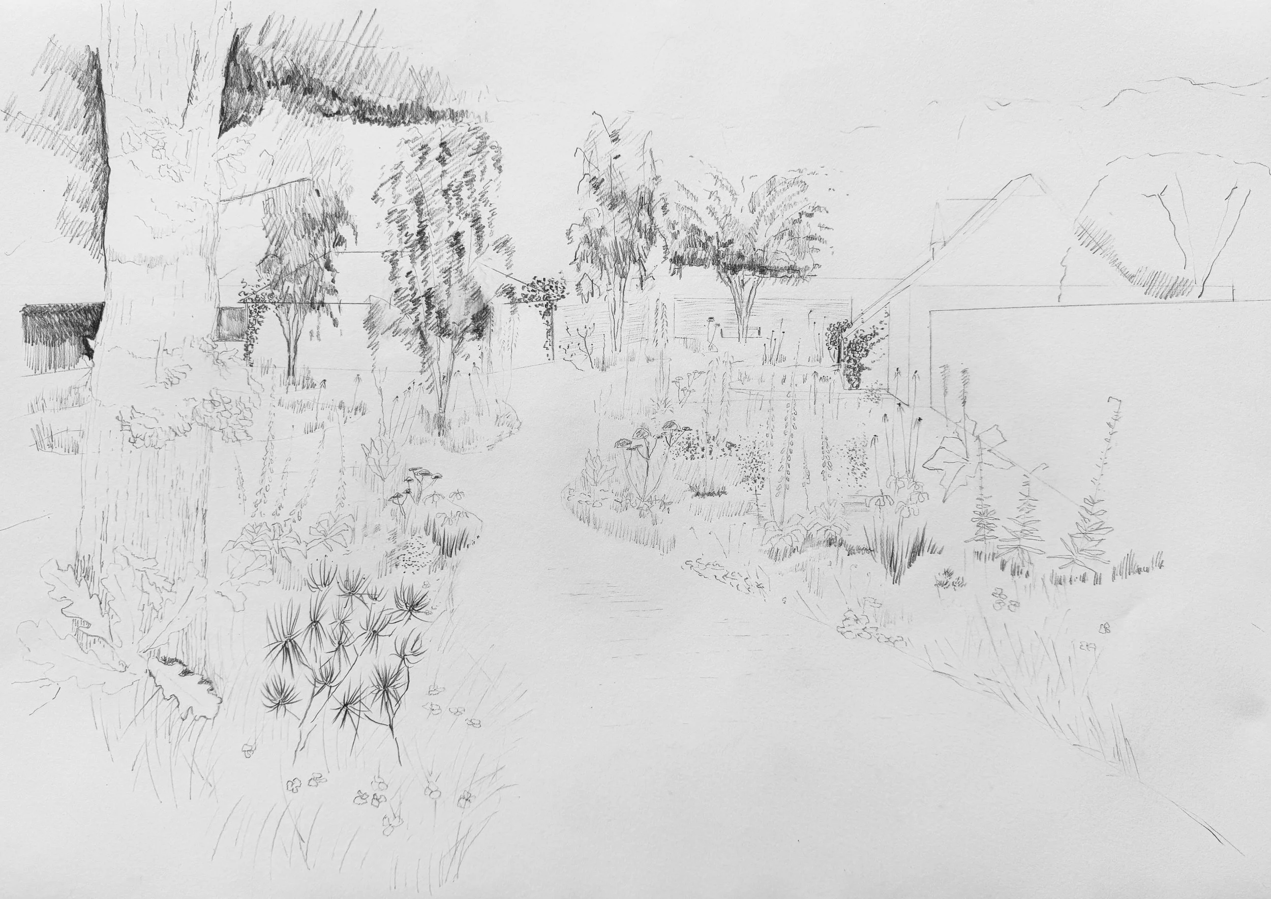 A detailed pencil sketch of a garden scene with trees, bushes, and plants, including a large tree trunk on the left and various smaller plants and flowers scattered throughout the garden.