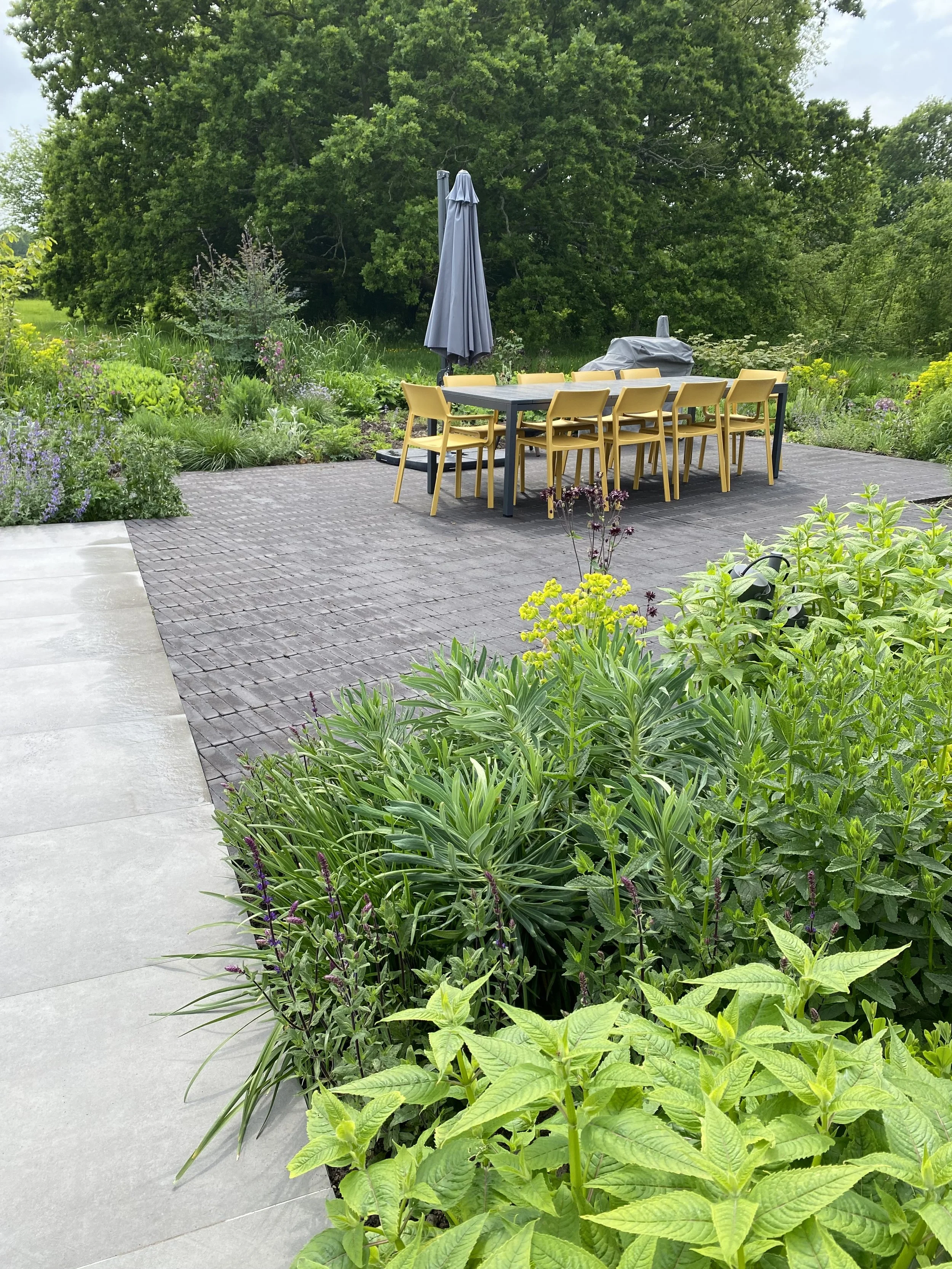 A backyard patio with a large table and eight yellow chairs, a closed gray umbrella, and a lush green garden with various plants and bushes, surrounded by trees in the background.