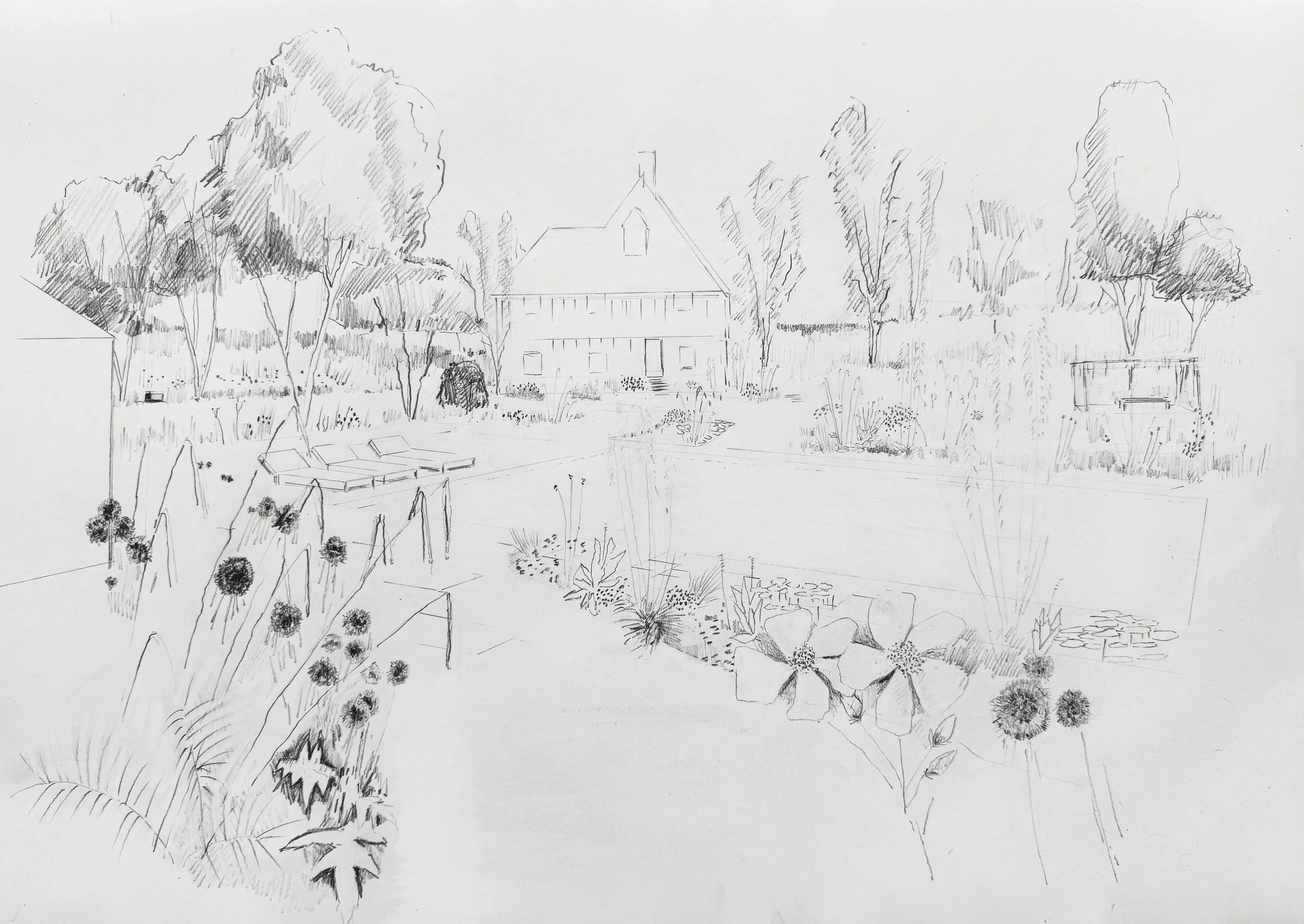 A detailed pencil sketch of a backyard scene featuring several trees, a house with a sloped roof in the background, and garden elements including a row of plants and a small pond.