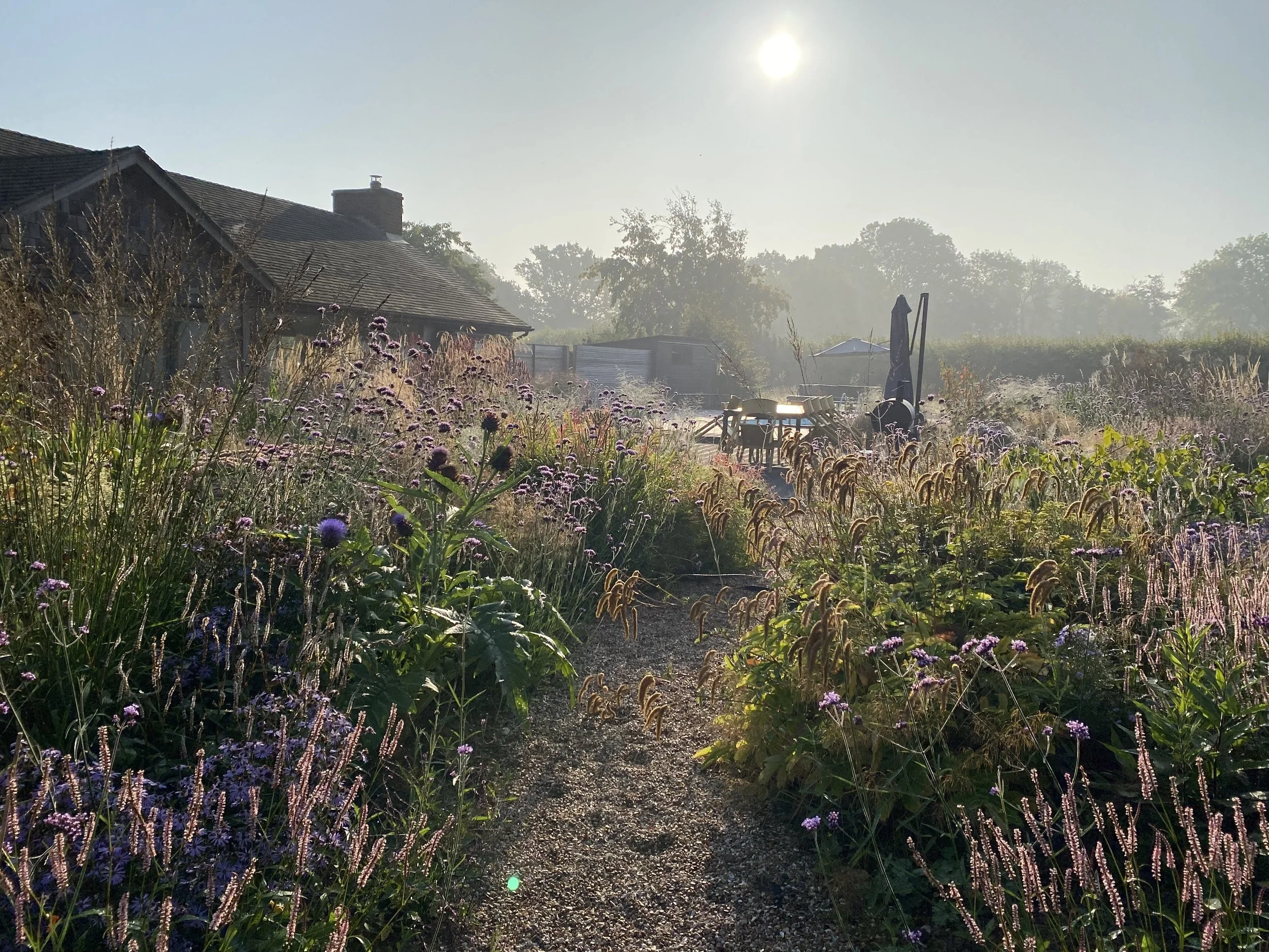 A daytime rural scene with a house, wildflowers, and outdoor furniture, under a bright sky.