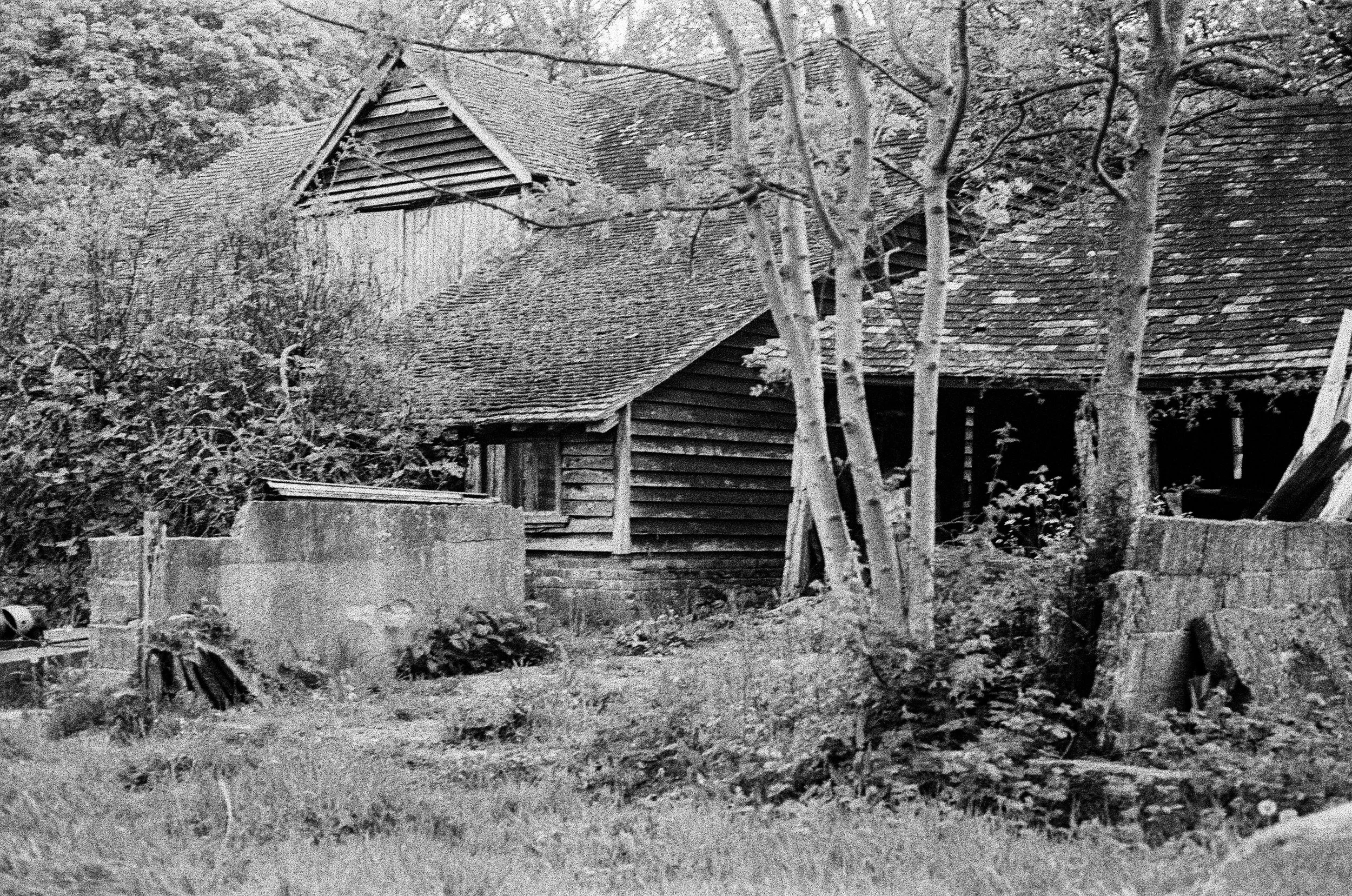 Black and white photo of a house with a steep roof and wooden siding, surrounded by trees and foliage.