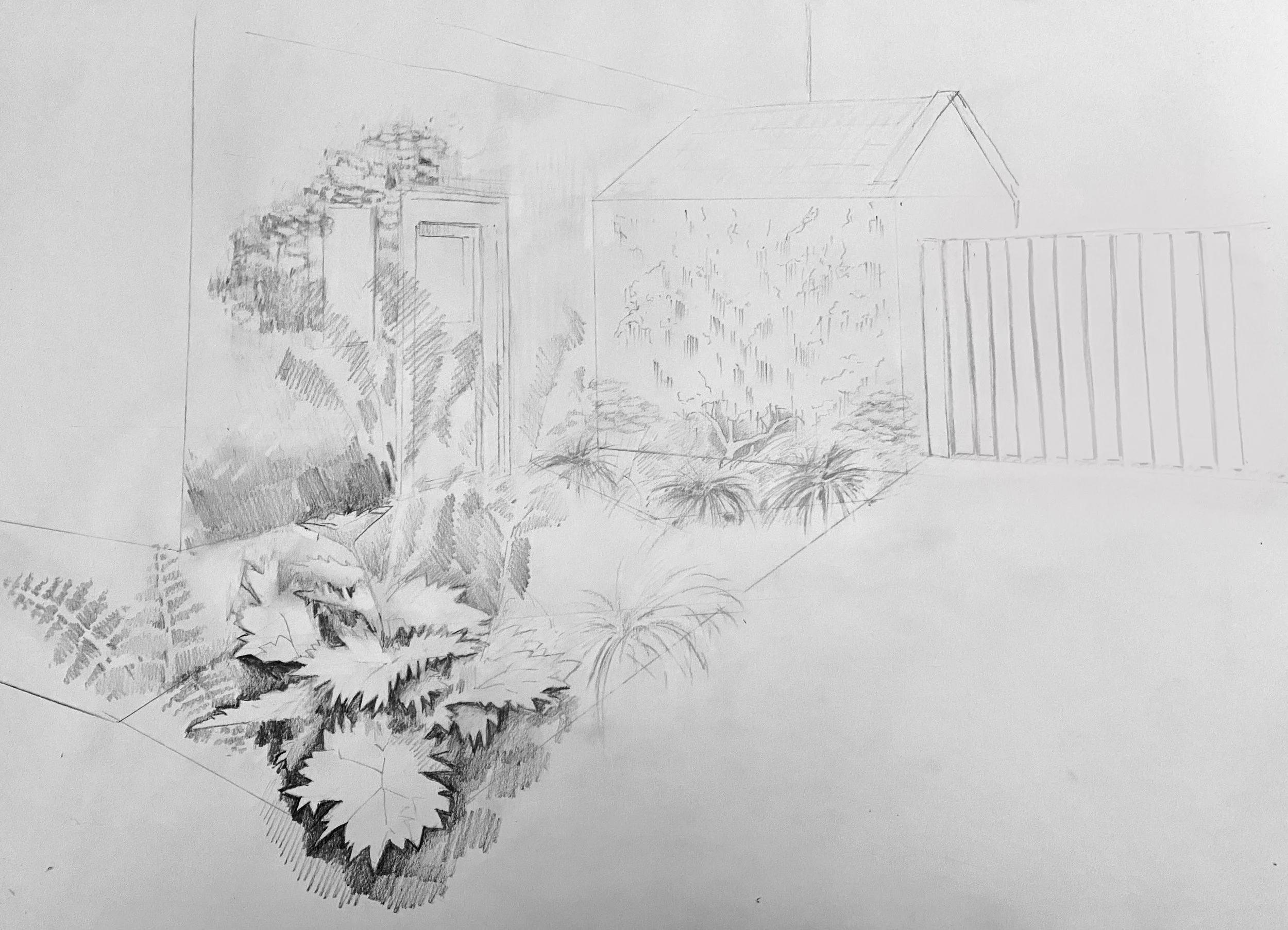 Sketch of a backyard scene featuring a tree, plants, a wooden fence, and part of a house or shed
