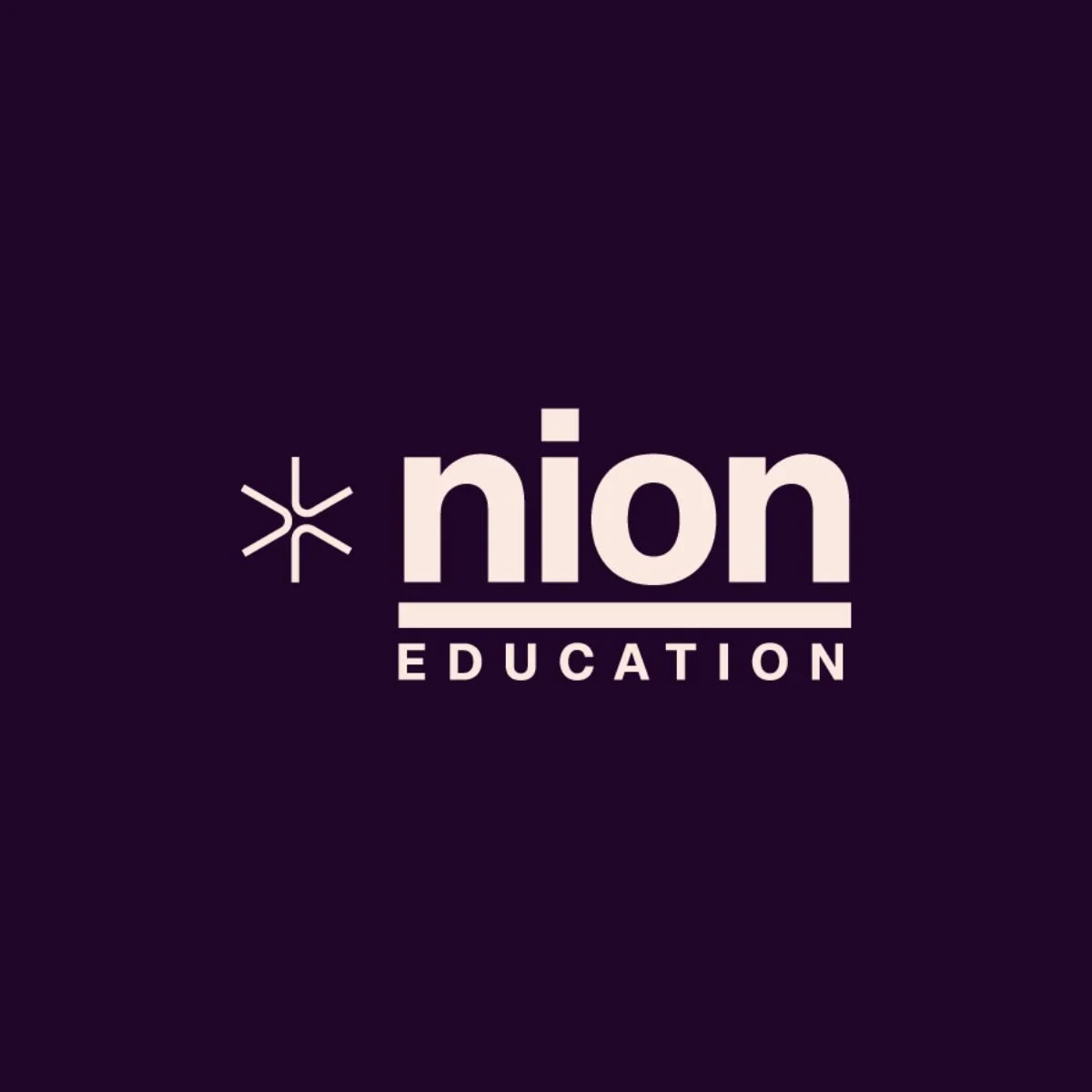 Nion Expands into Technical Training with Nion Education