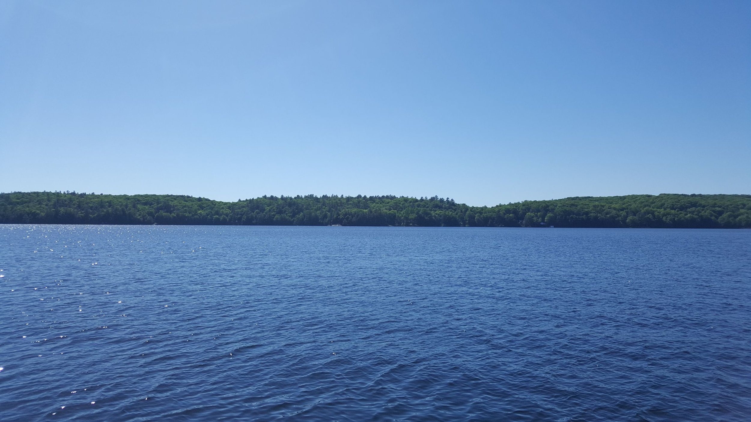 _20180602_160747_47781669861_o.jpg