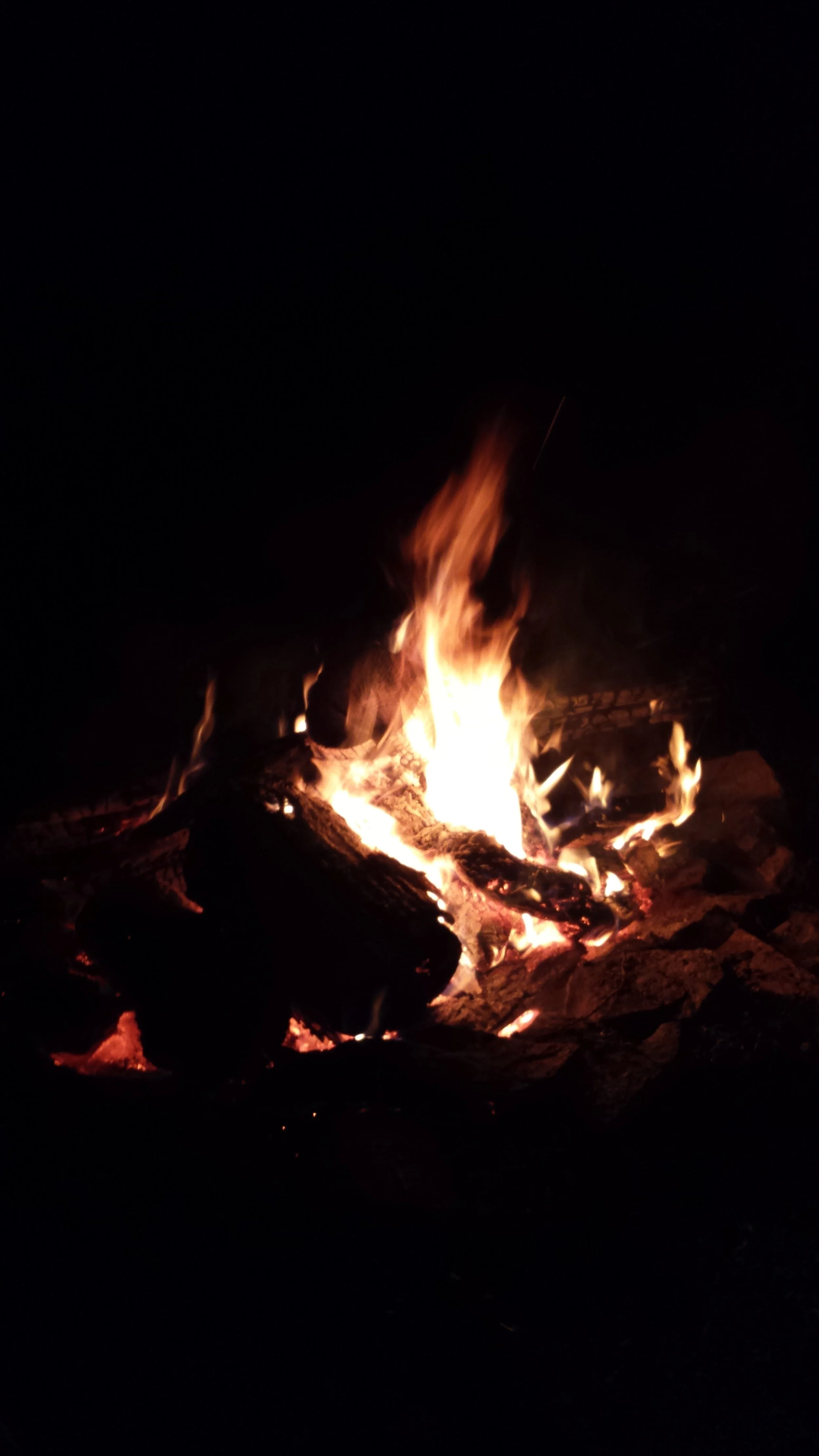 20150605_215842_47711686092_o.jpg