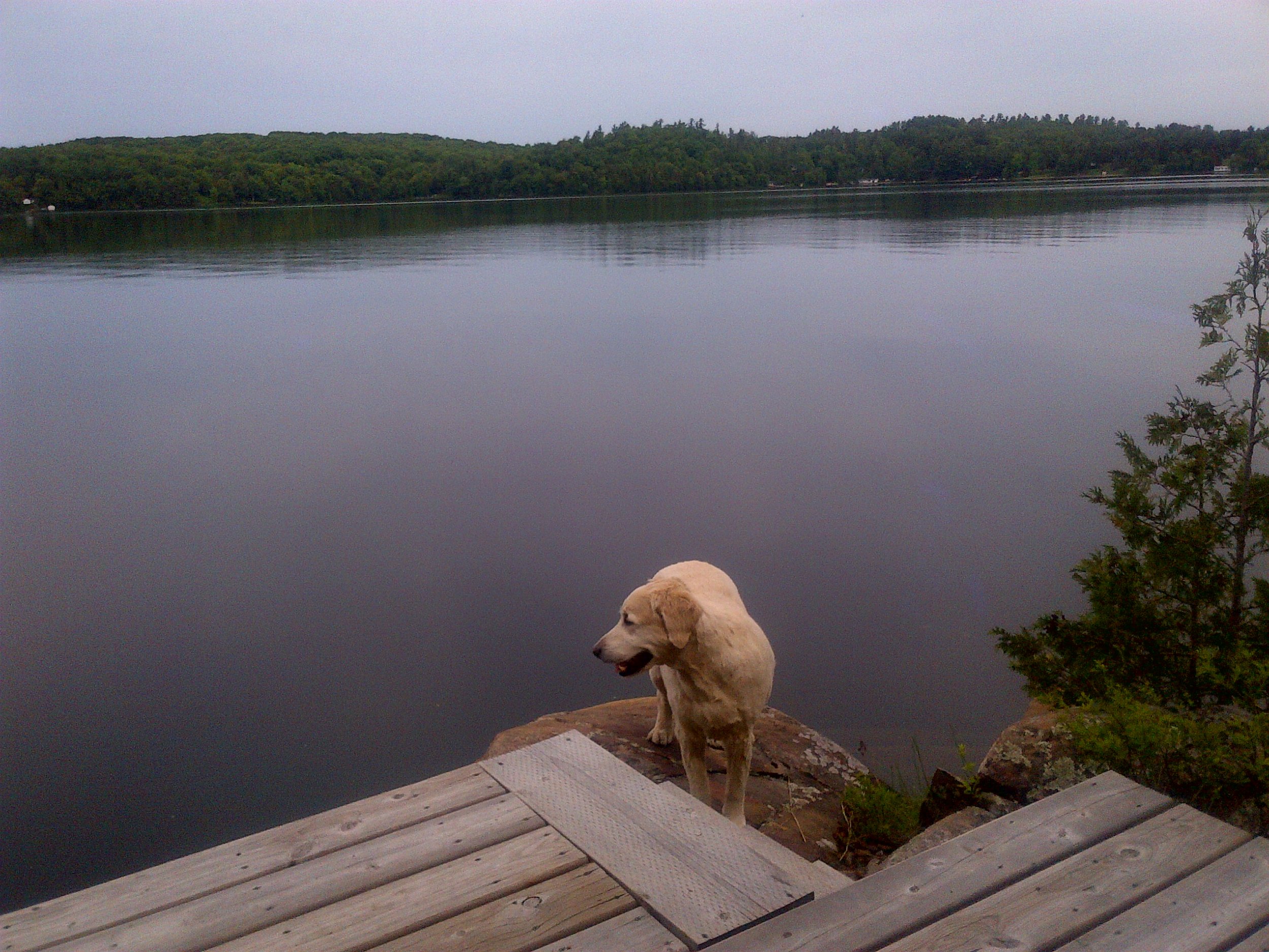 img-20140608-00243_47766283742_o.jpg