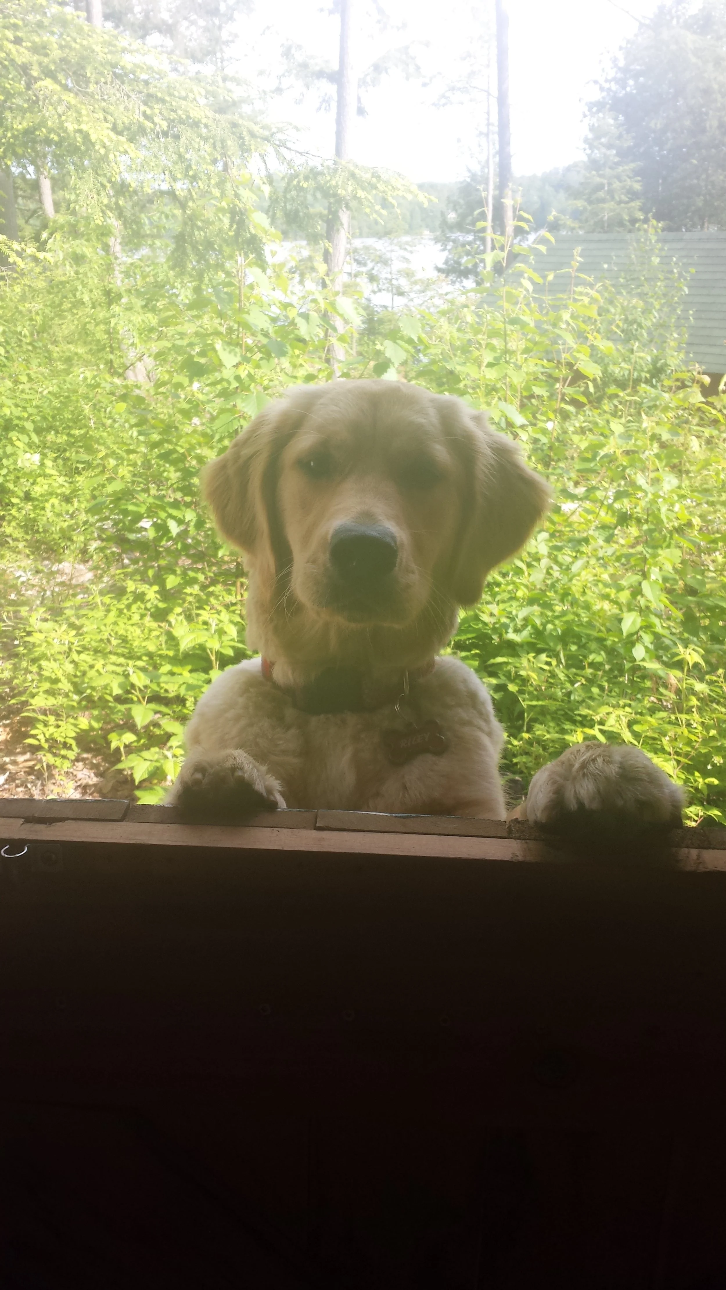 20150607_084133_34346908913_o.jpg