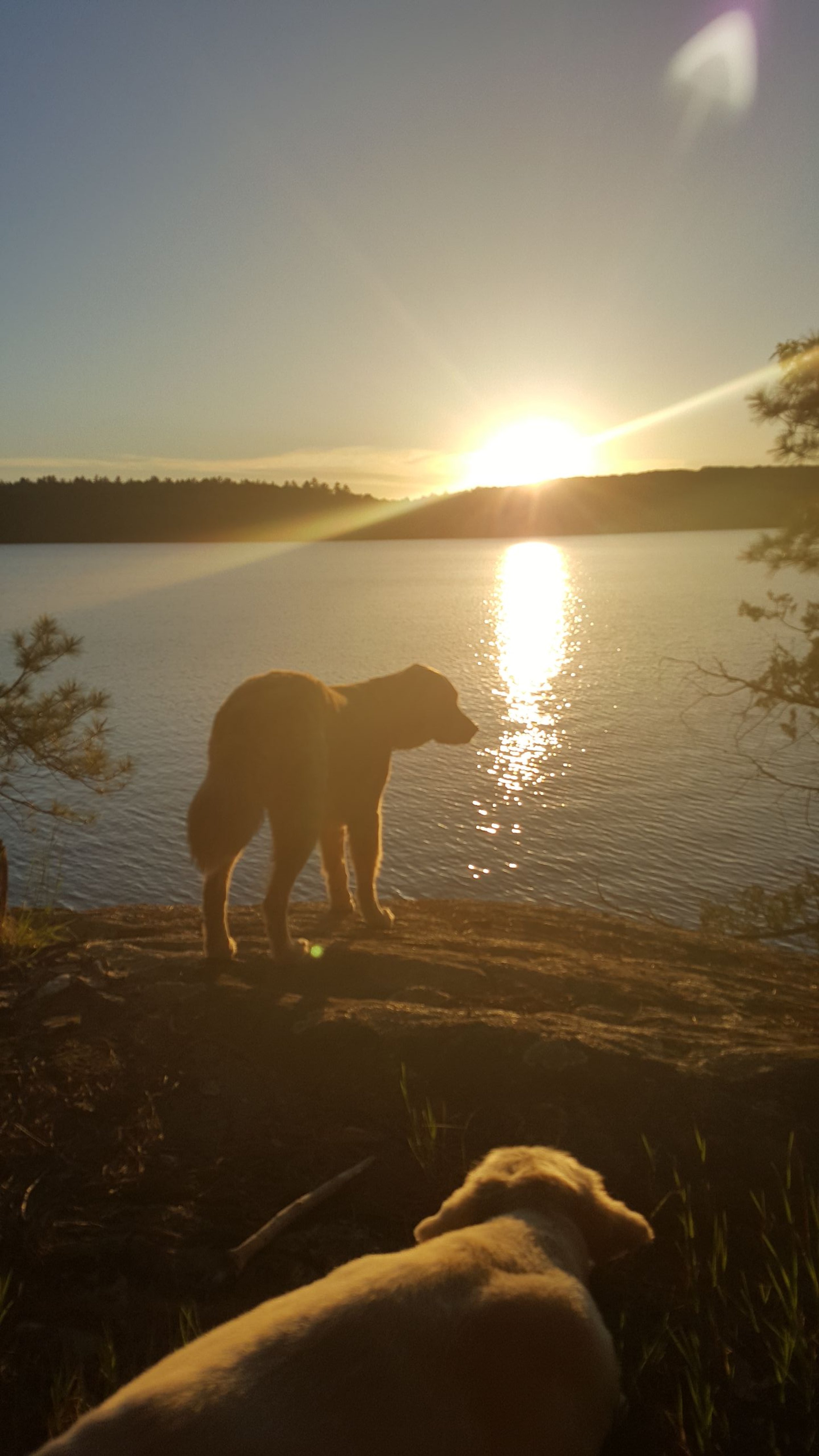 _20180602_202750_40815426503_o.jpg
