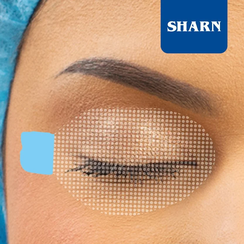 Close-up of a closed eye with well-groomed eyebrow, eye makeup, and a dotted overlay with a blue rectangle and label that says 'SHARN'.