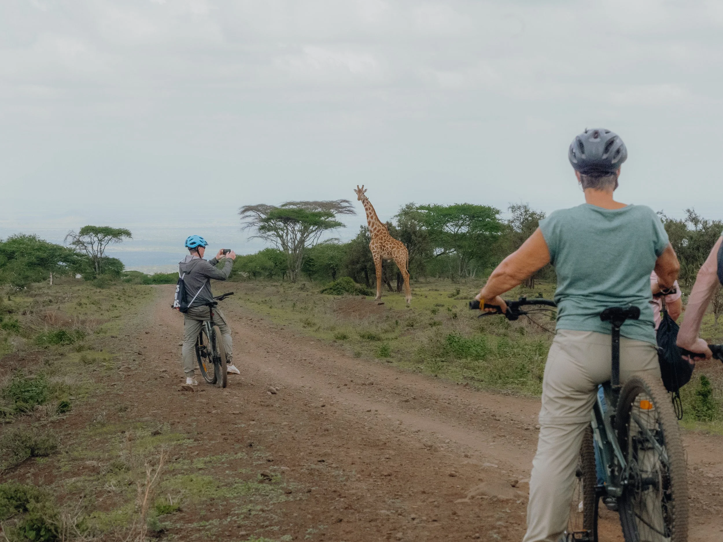 Tour de Kilimanjaro: The Ultimate Cycling Adventure in Tanzania