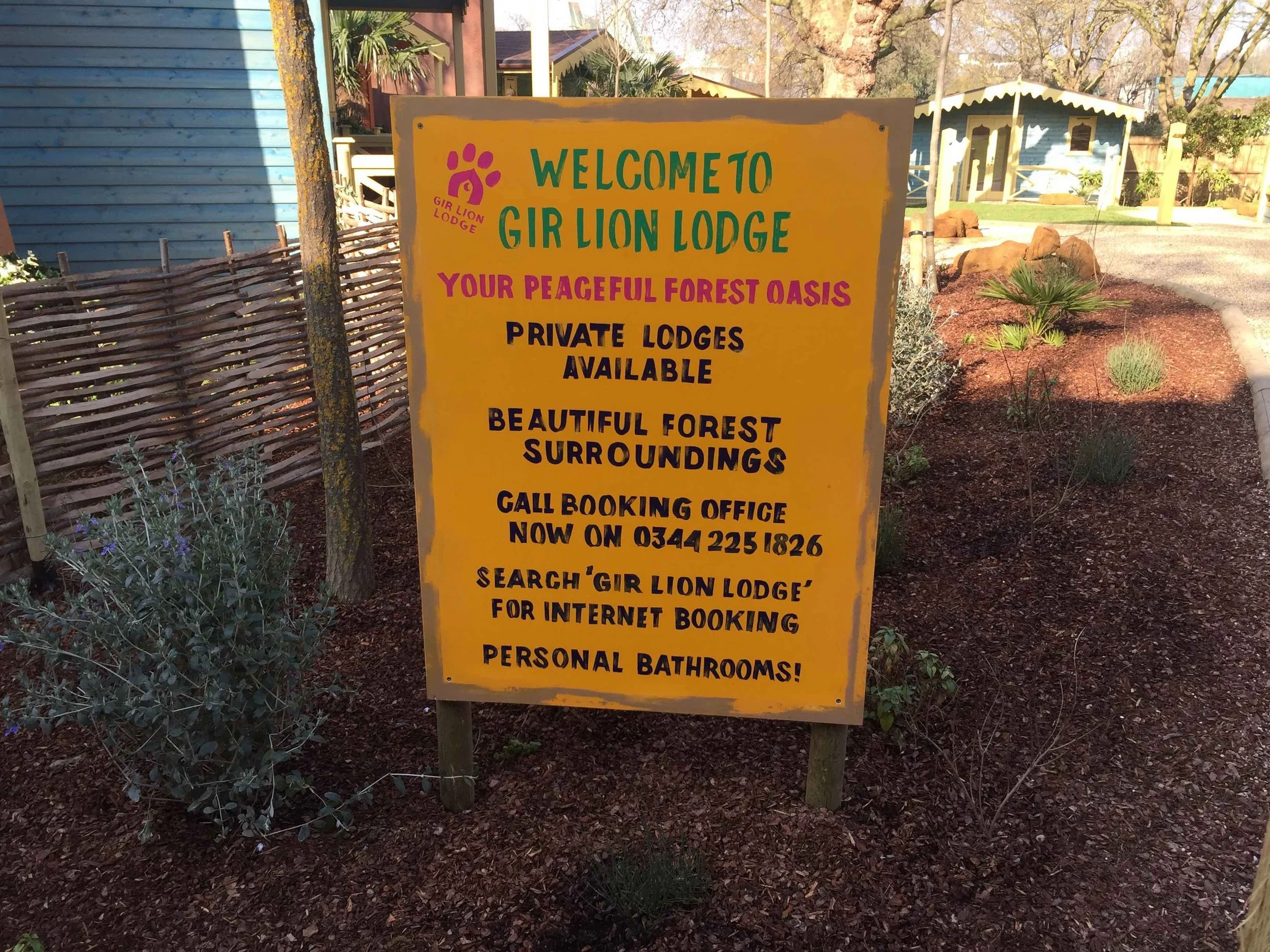 Printing on Wood Lions at London Zoo - 3.webp