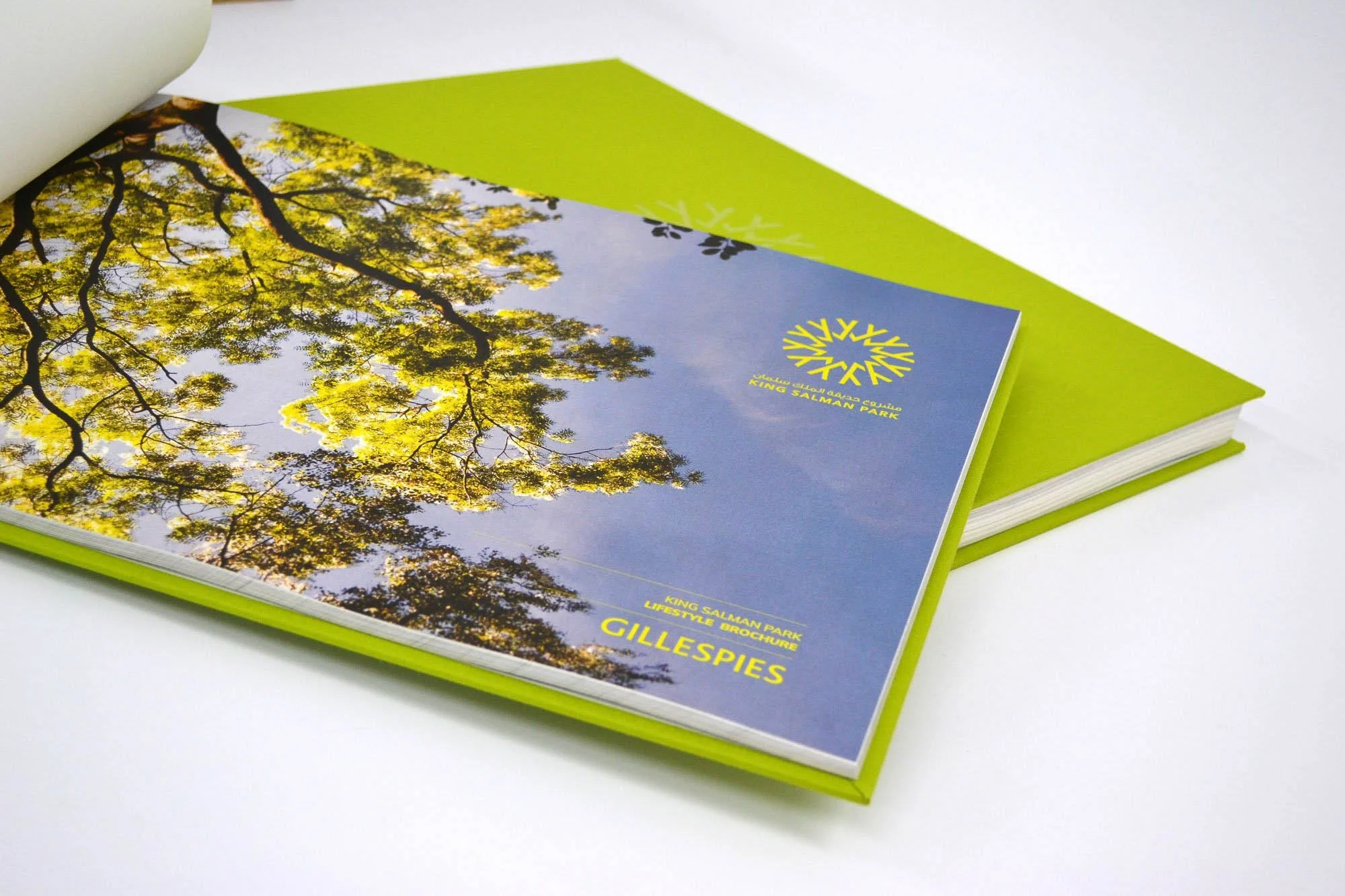 Gillespies Books Binders Green FSC Recycled Paper.webp