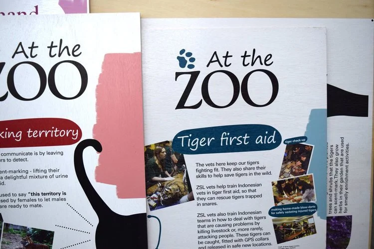 Printing on Wood Lions at London Zoo - 2.webp