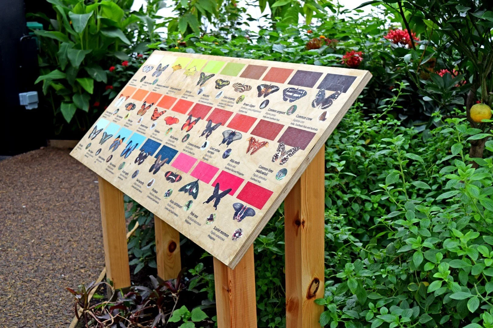 Butterfly House Printed Wooden Information Signage - 4.webp