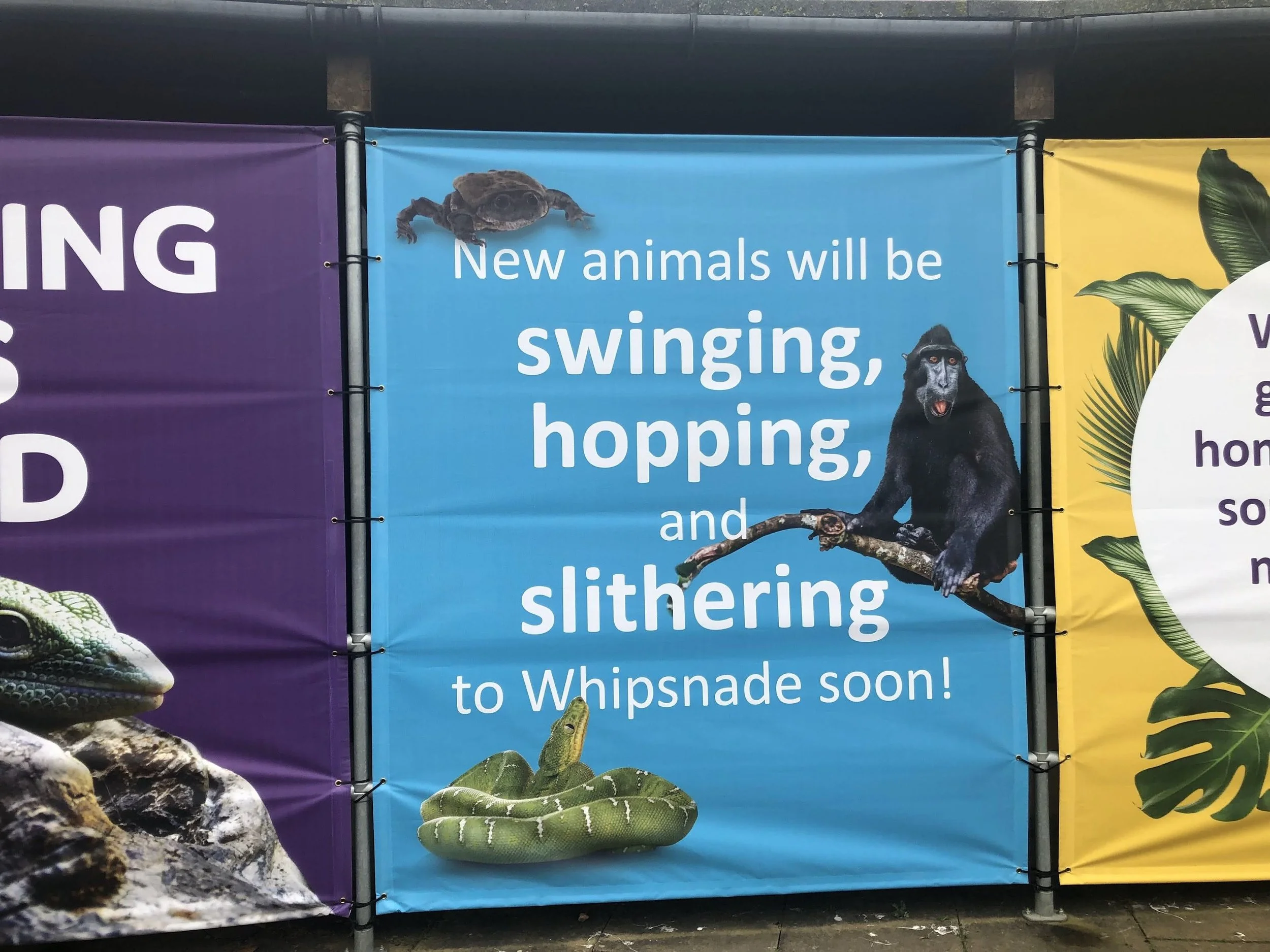 Mesh Banner Event Hoarding and Signage London Zoo - 3.jpg