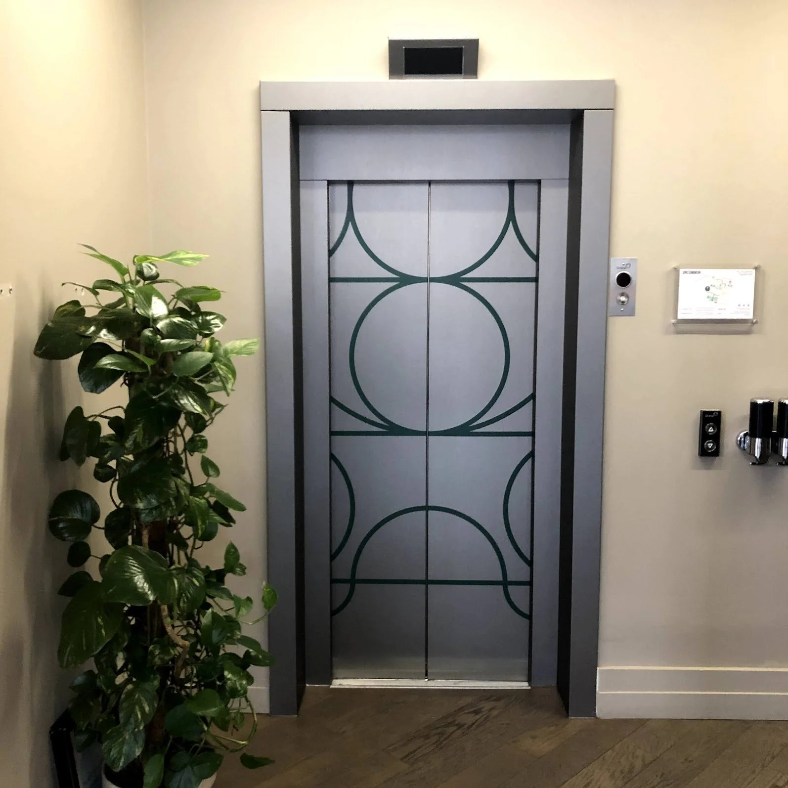 Clean Simple Lift Graphics.webp