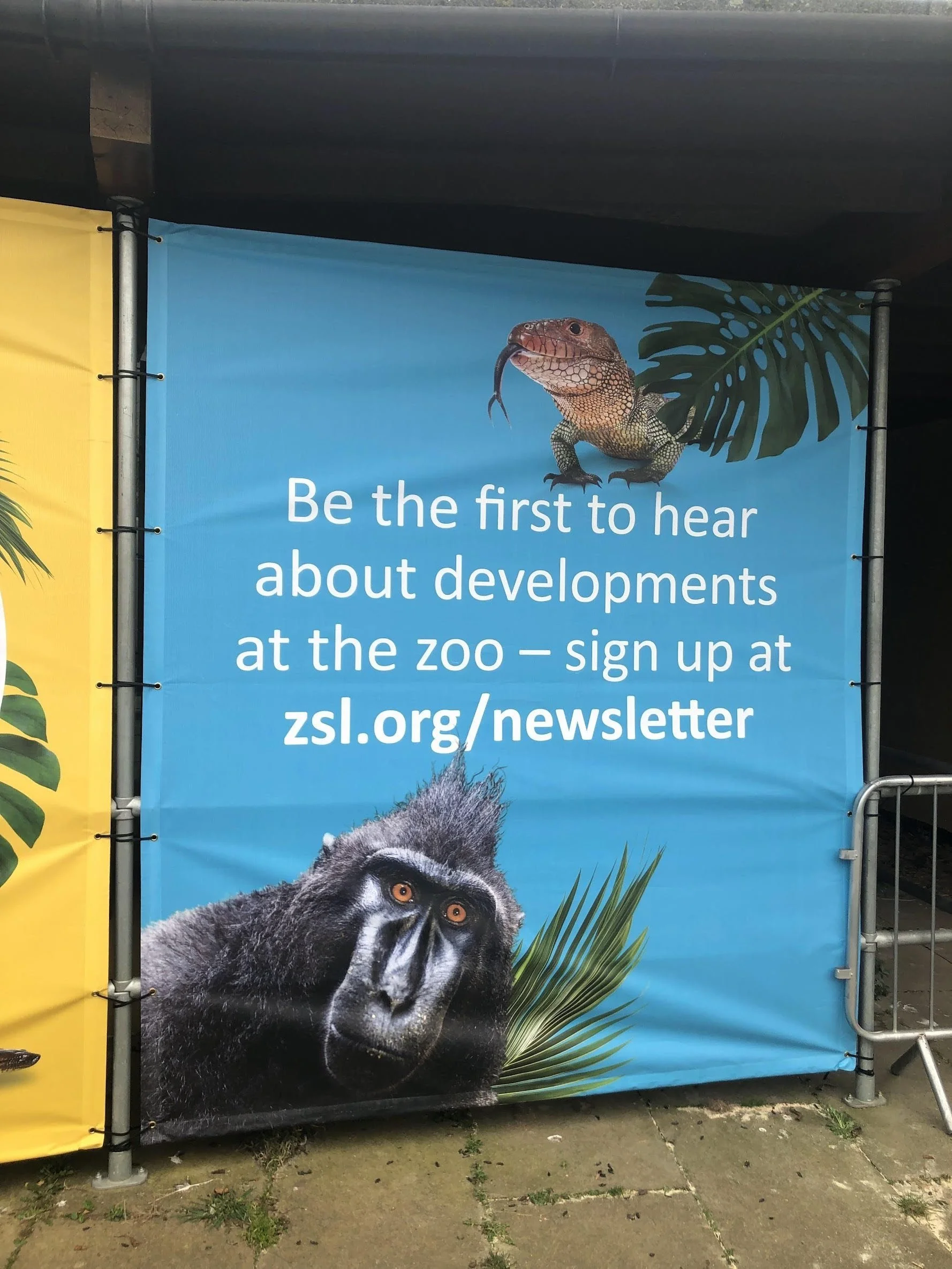 London Zoo Mesh Banners.webp