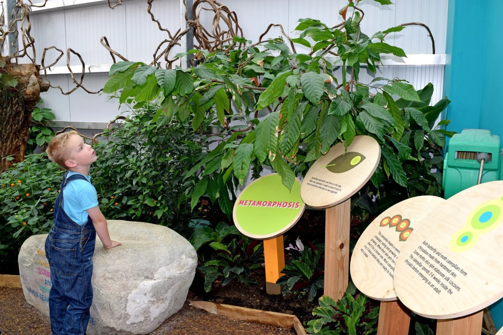 Butterfly House Printed Wooden Information Signage - 5.webp