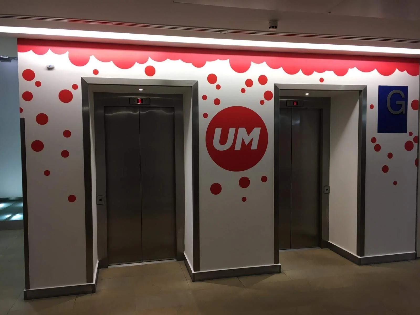 UM Lift Graphics.webp