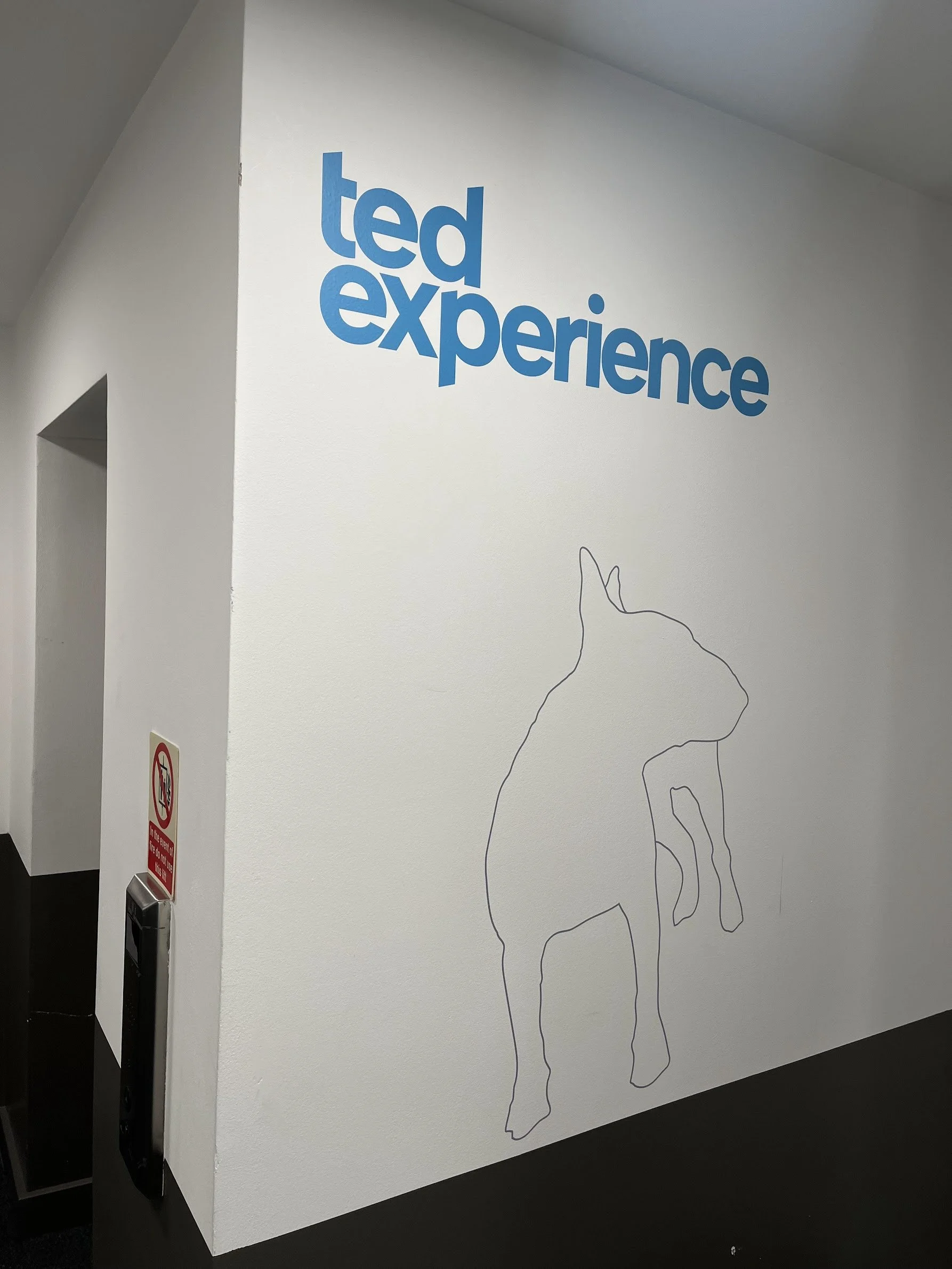 Ted Wall Branding & Graphics.jpg