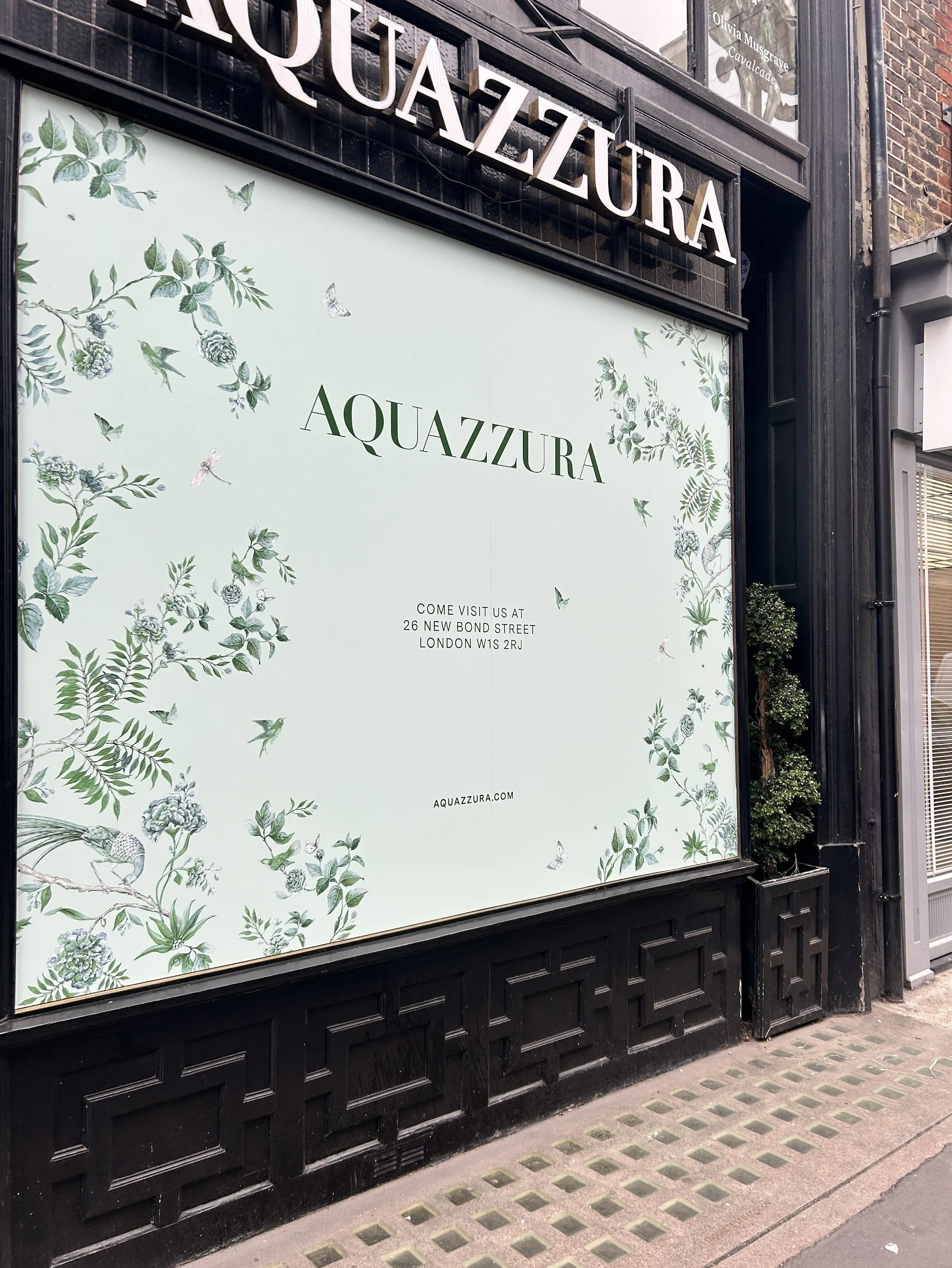 Aquazzura Retail Branding Window Graphics.jpg
