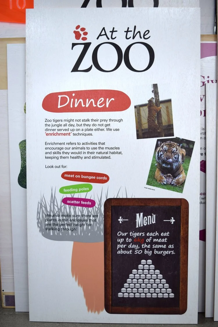 Printing on Wood Lions at London Zoo - 6.webp