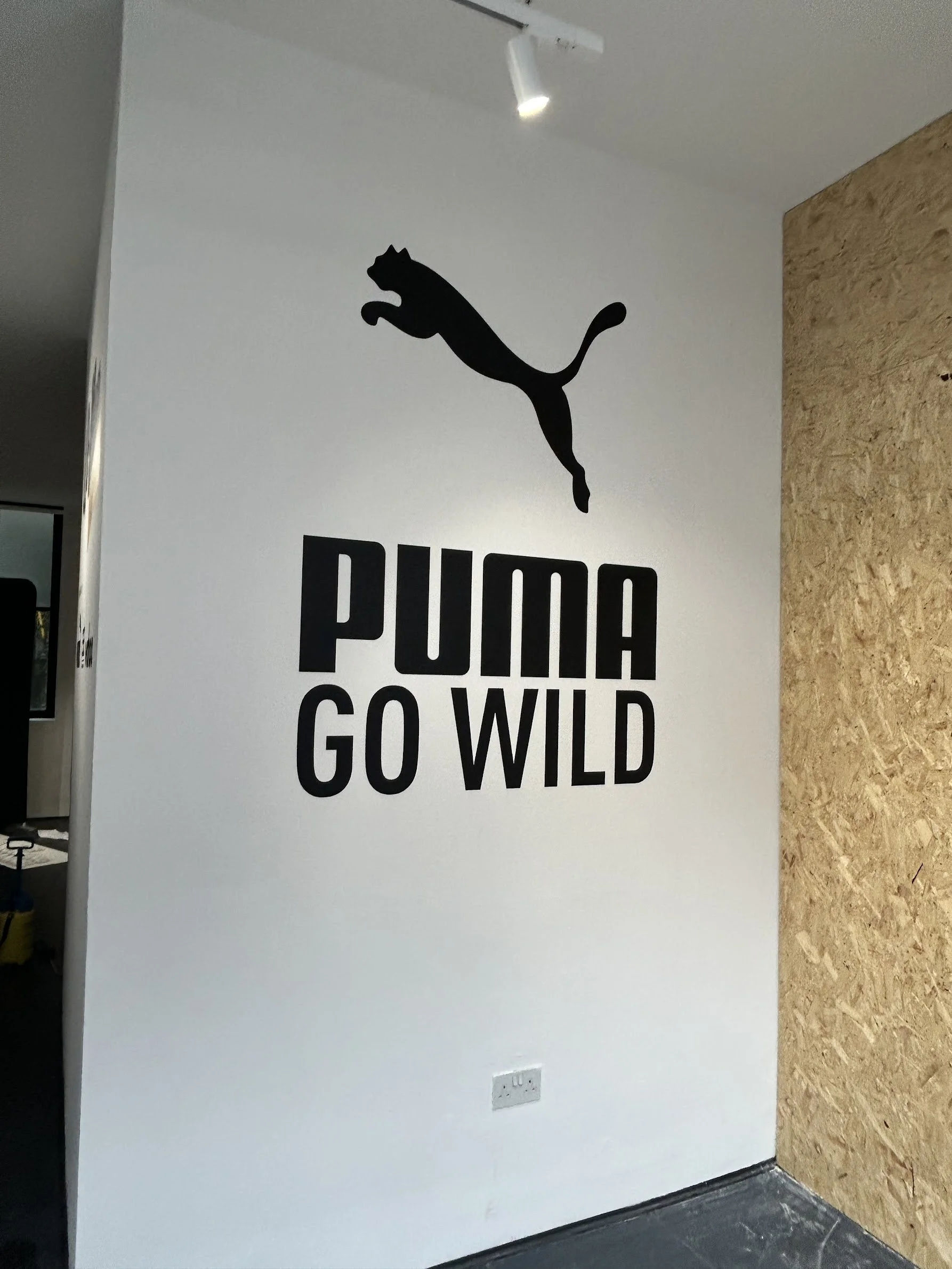 Puma Wall Graphic.jpg