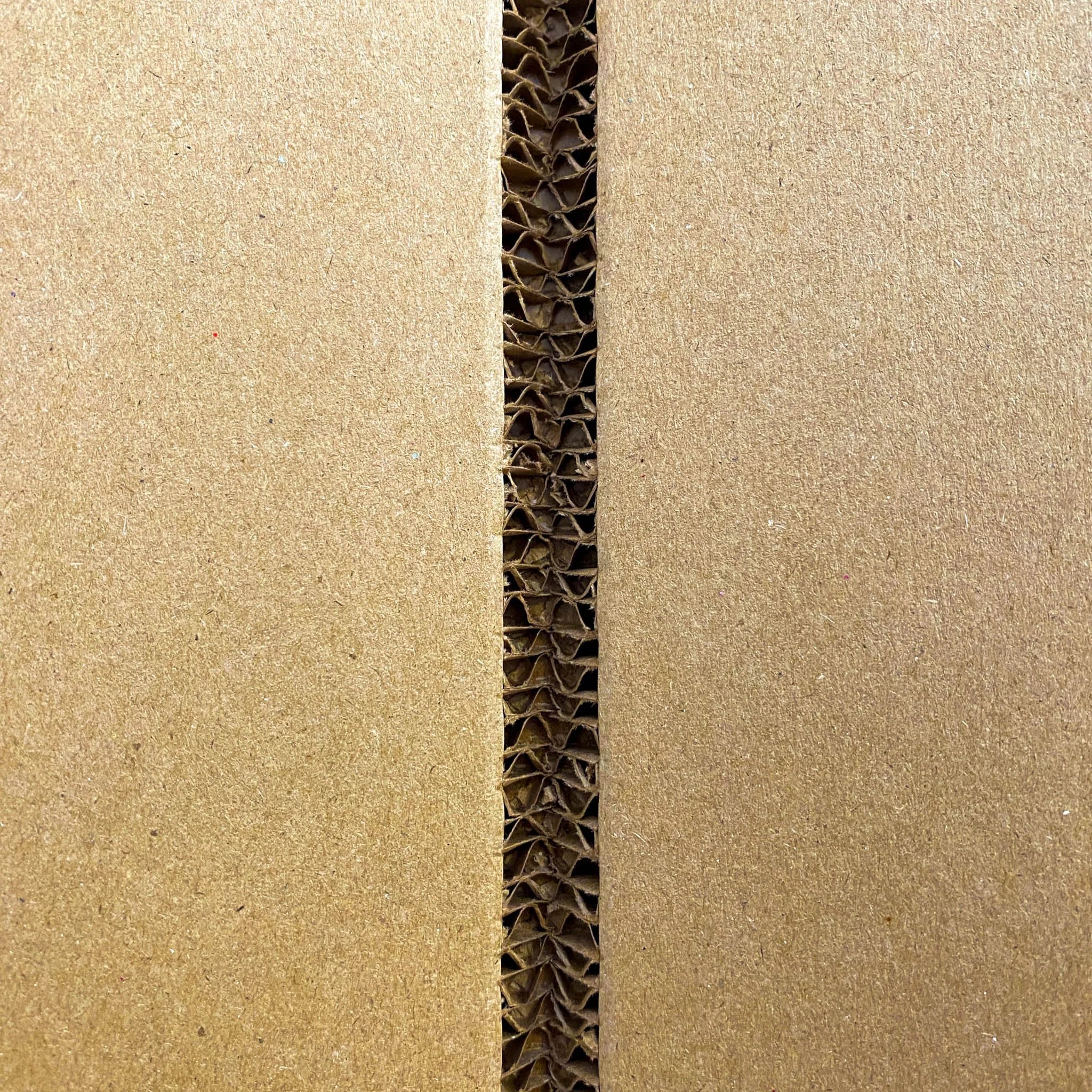 Eco Display Cardboard Display Stands - 5.webp