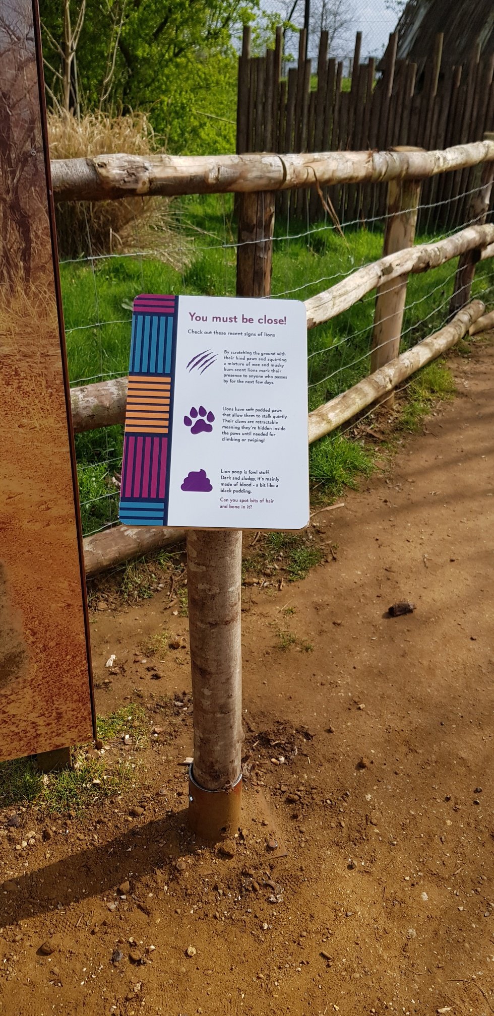 20190405_151604_resized_1.jpg