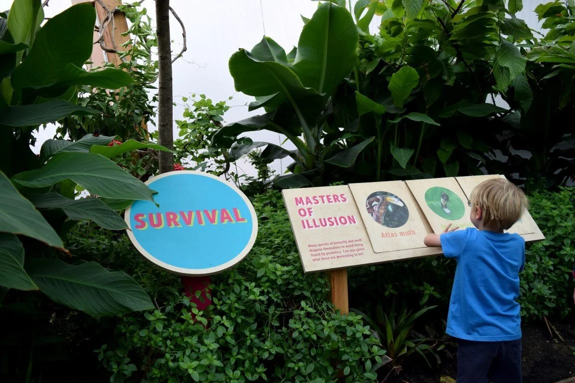 Butterfly House Printed Wooden Information Signage - 3.webp