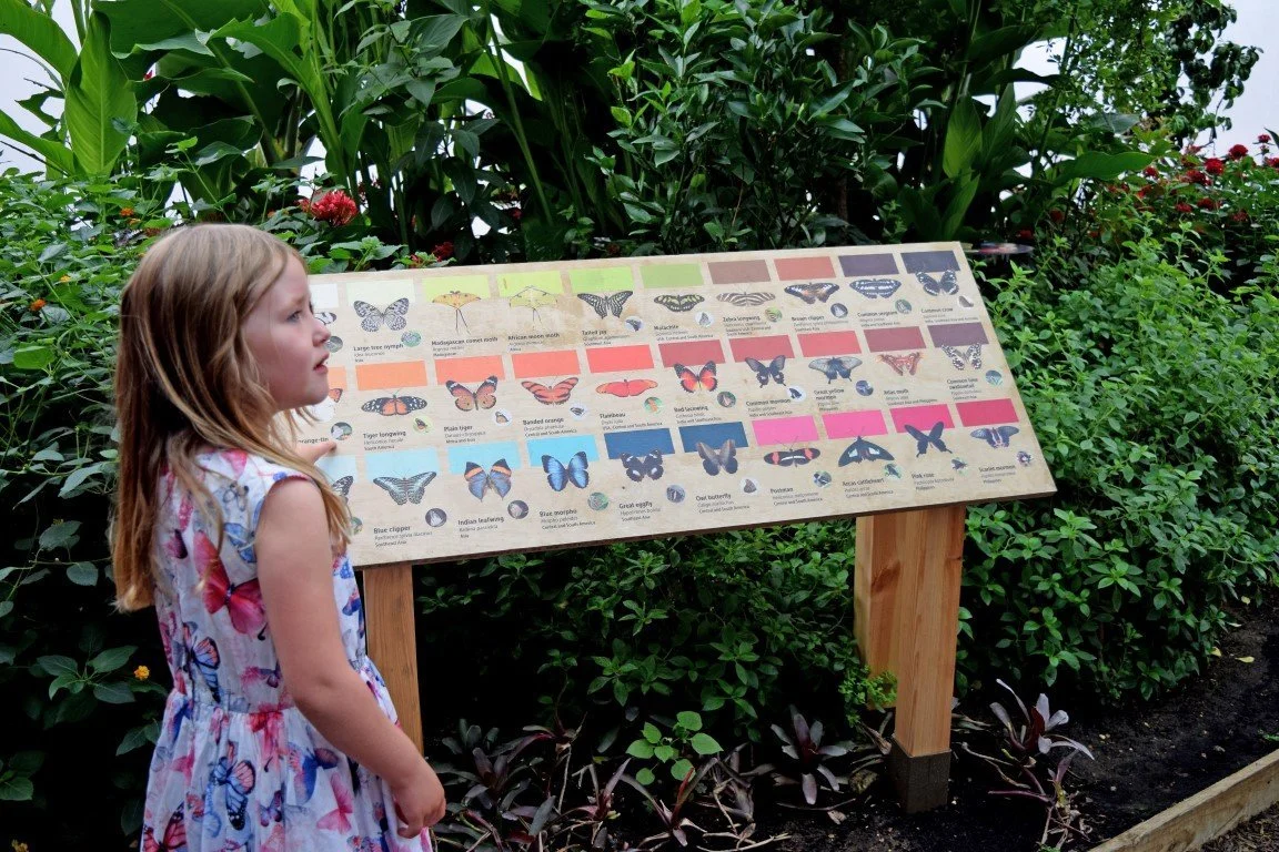 Butterfly House Printed Wooden Information Signage - 2.webp
