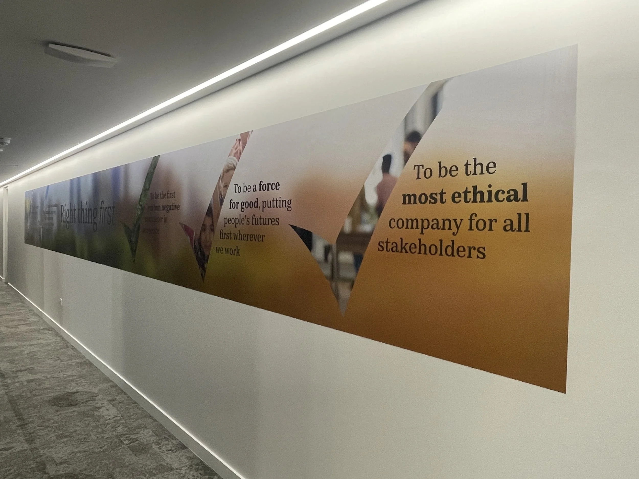 Corridor Wall Graphics.JPG