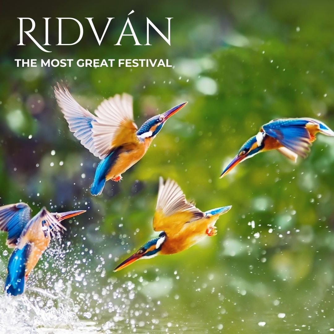 Feast of Jamal /Beauty-April 27, 2024